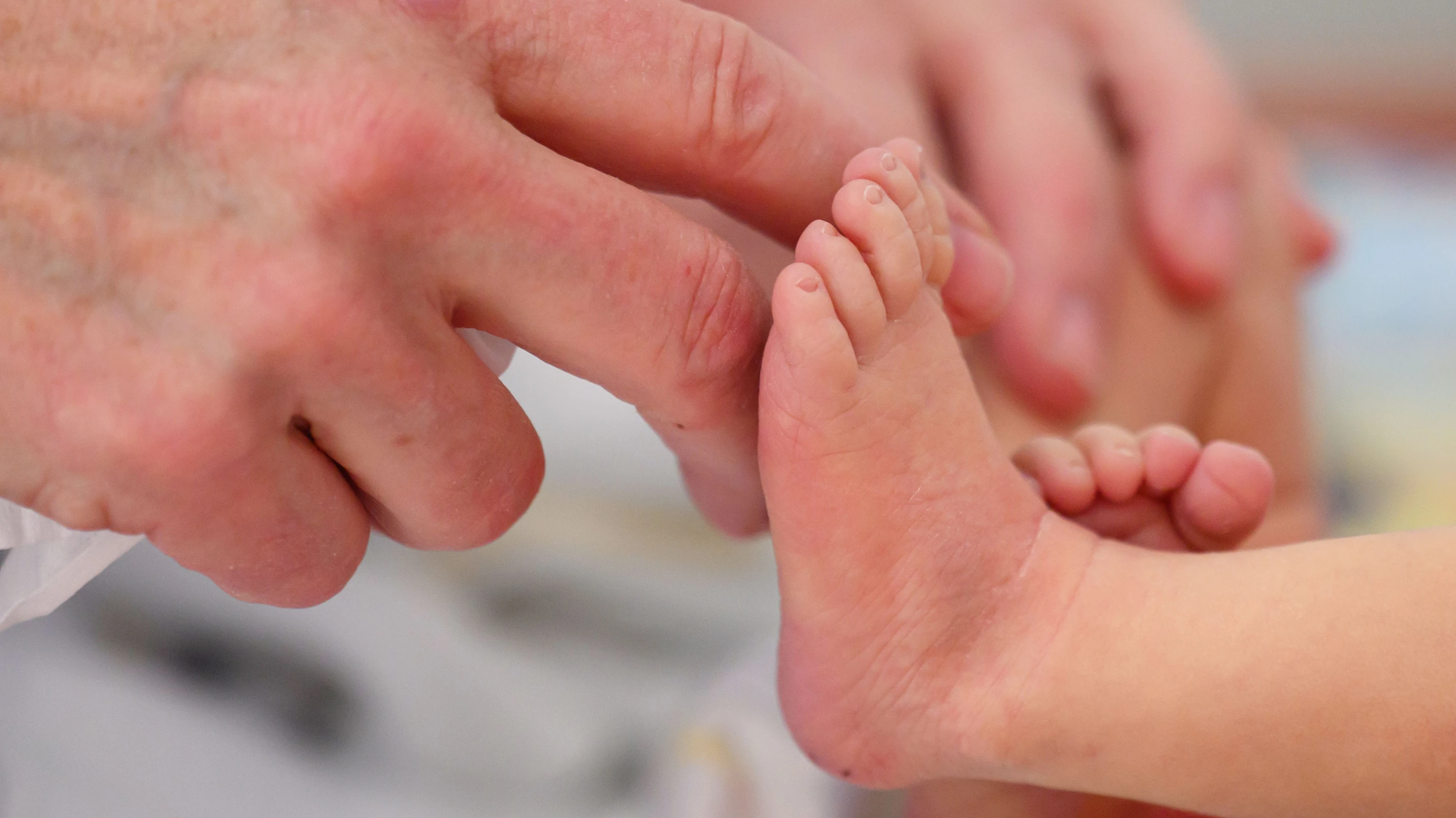 Daten der Standesämter: Sophia und Noah bleiben beliebteste 