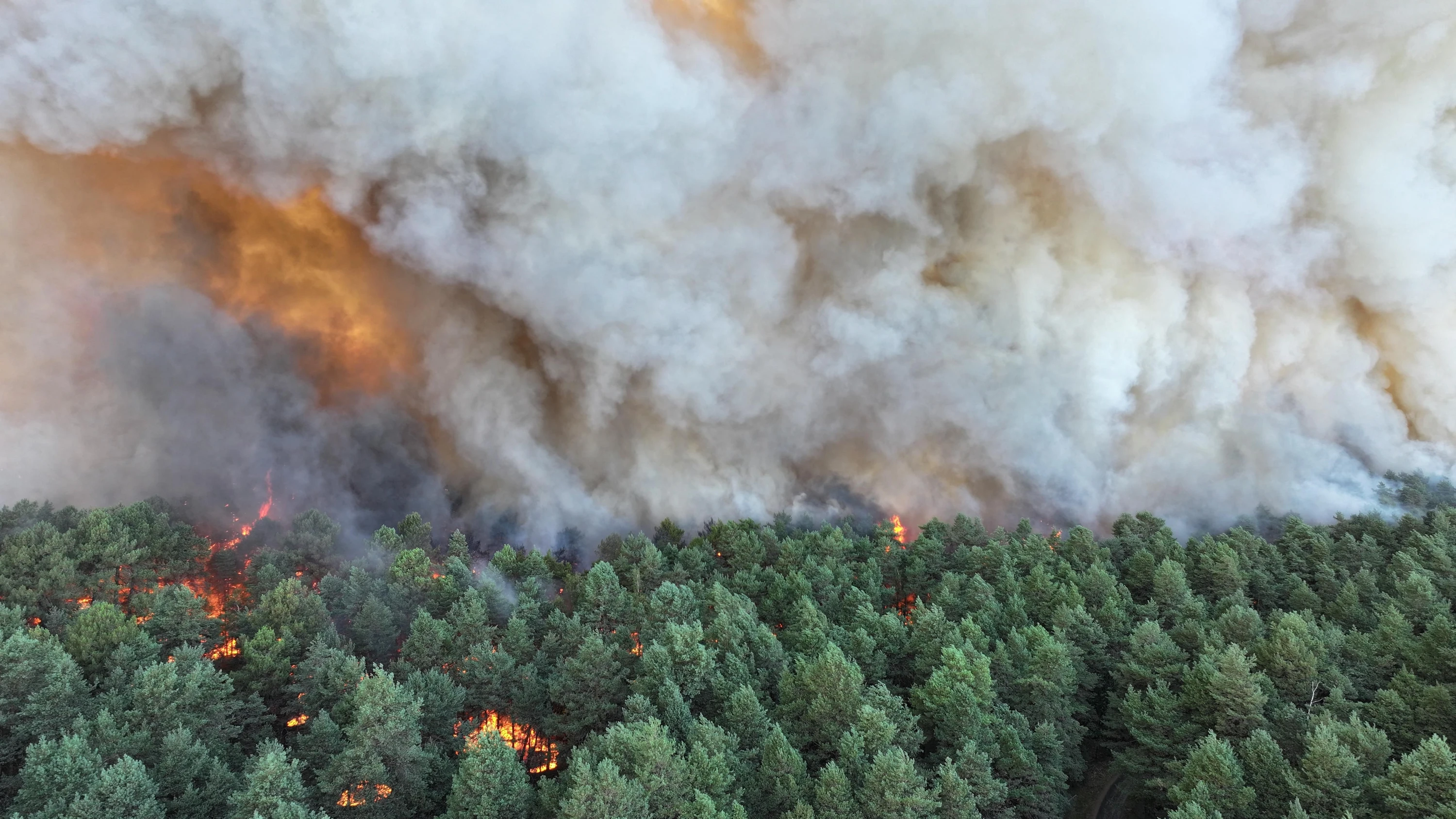 Hitzewelle in Frankreich: Waldbrand nahe Paris ausgebrochen