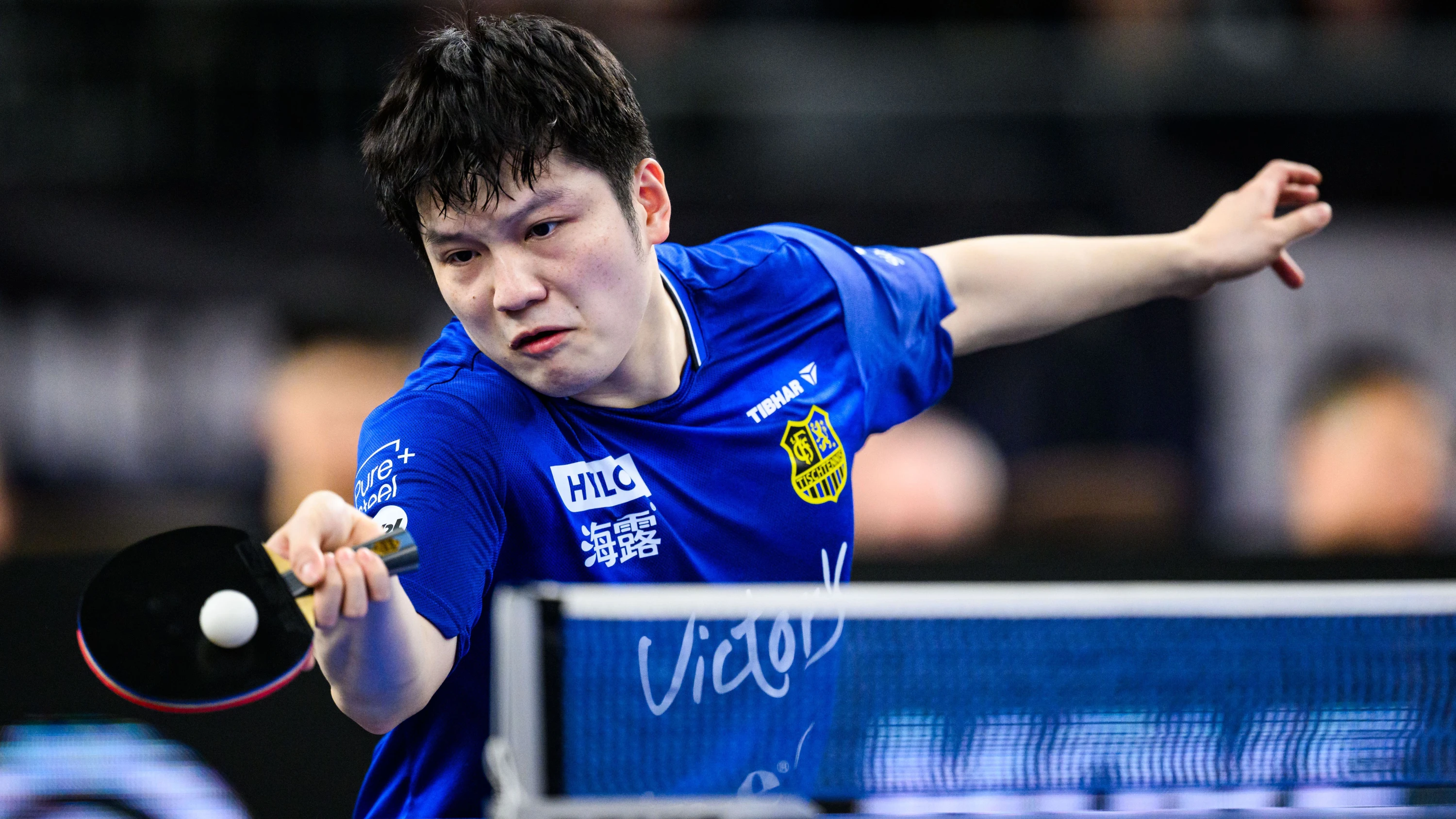 Kurzes Vergnügen: Der chinesische Superstar Fan Zhendong verlässt Saarbrücken zur neuen Saison gen Düsseldorf. - dpa