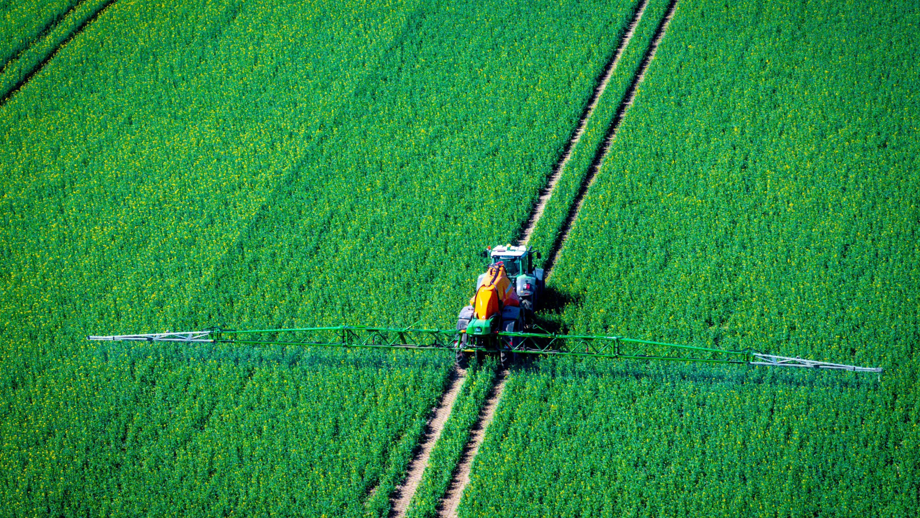 Sprachpolitik: Gift bleibt Gift