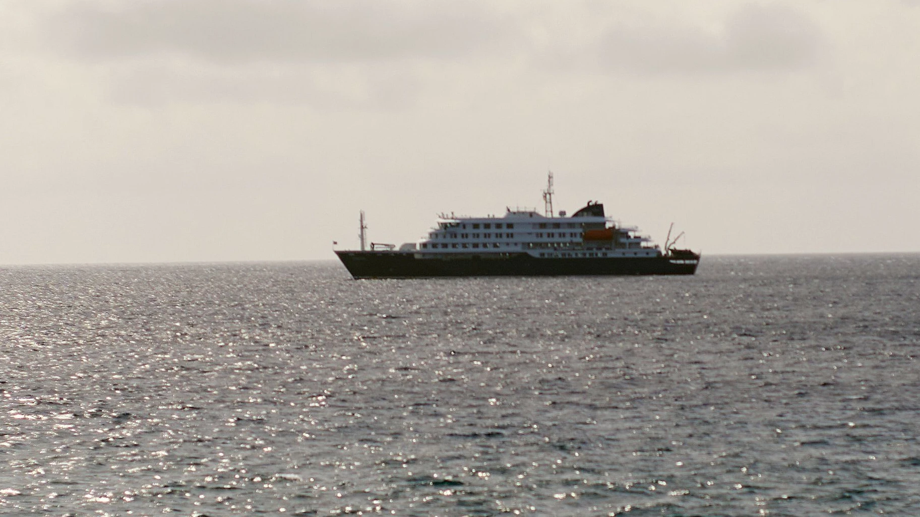 Bild: Sieben Infektionen: Hantavirus auf Kreuzfahrtschiff vor Kap Verde breitet sich aus