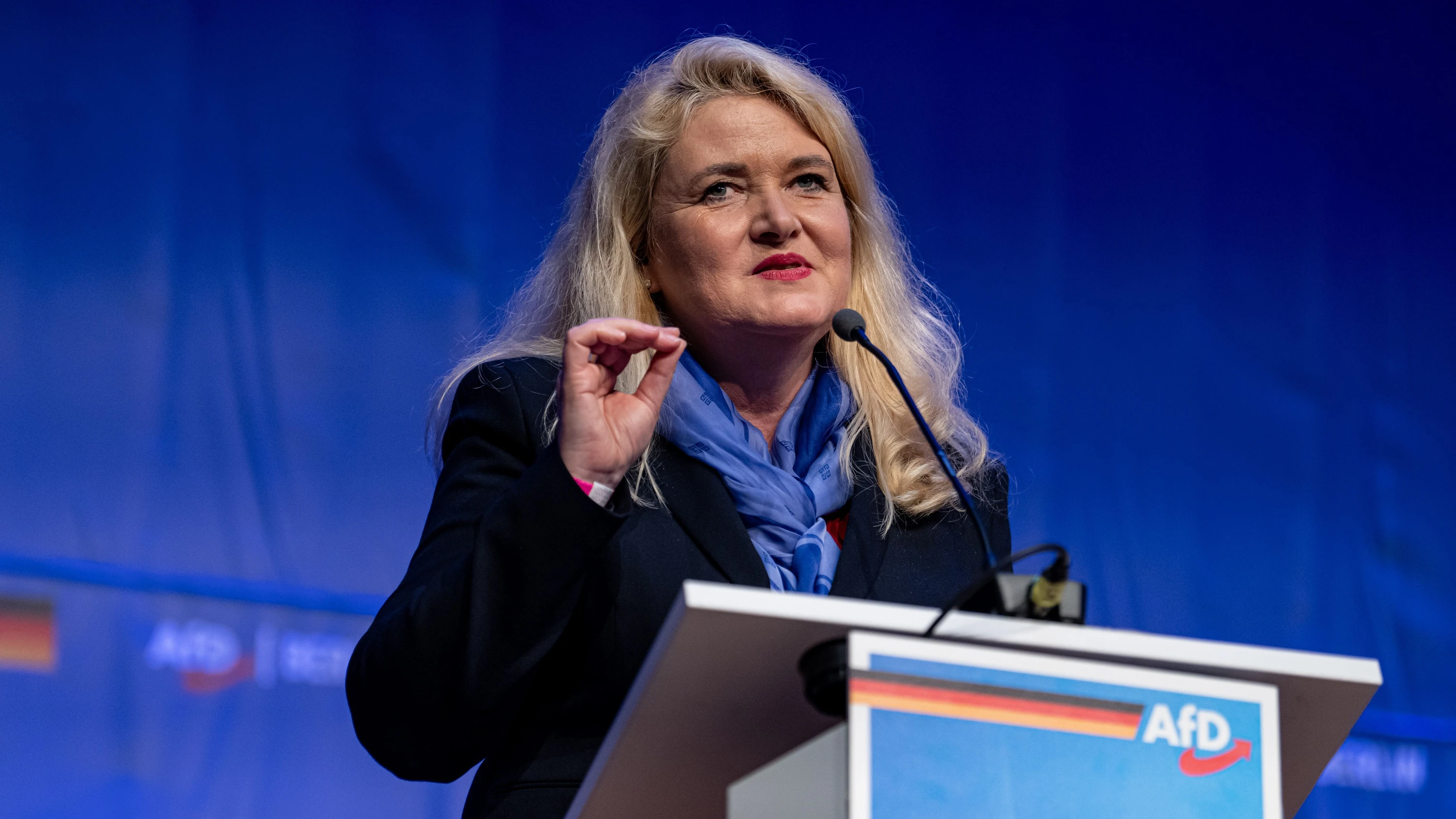 AfD: Radikalprogramm für Berlin AfD: Radikalprogramm für Berlin