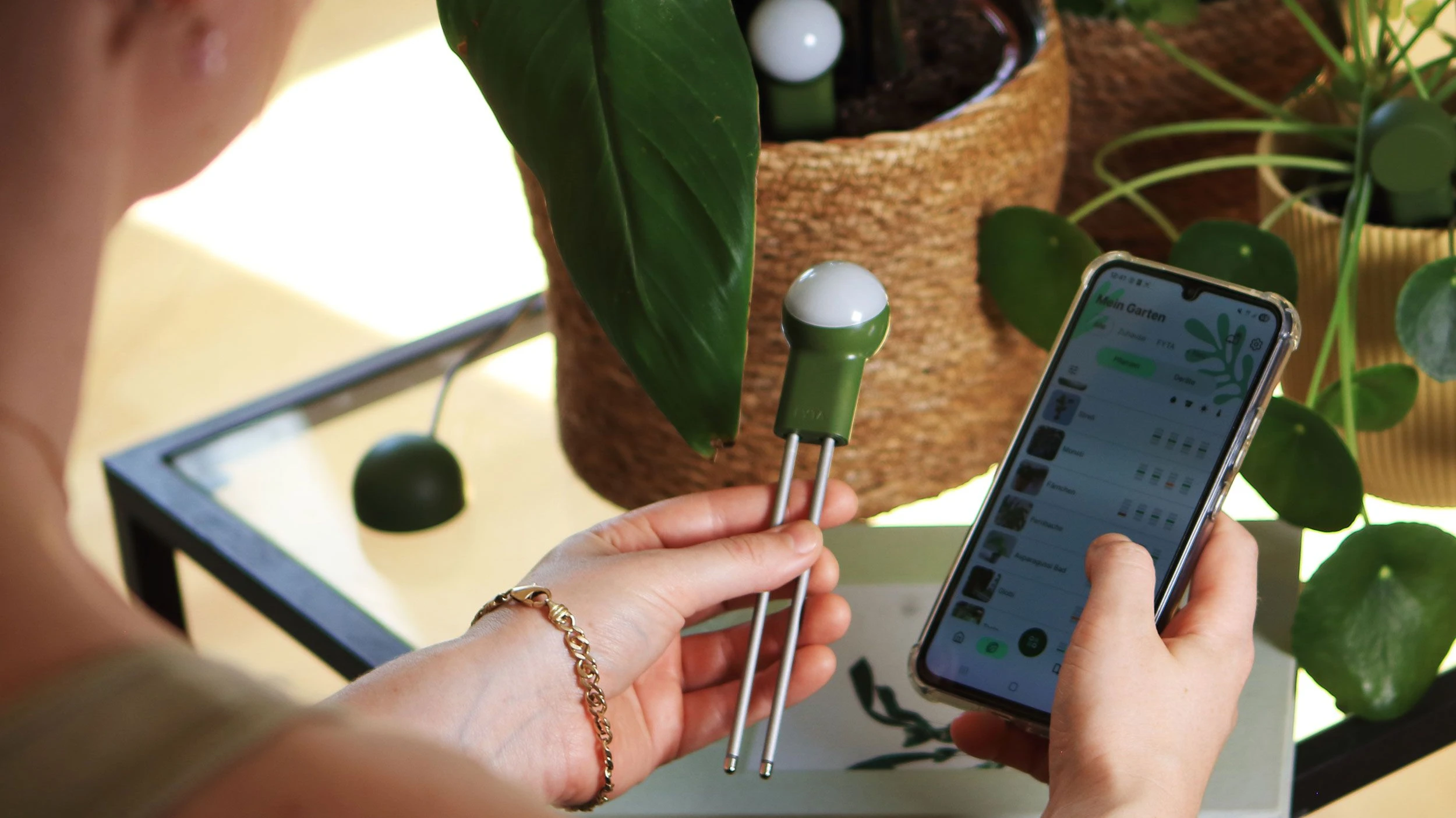 Fyta Pflanzensensoren: Daten vom Garten