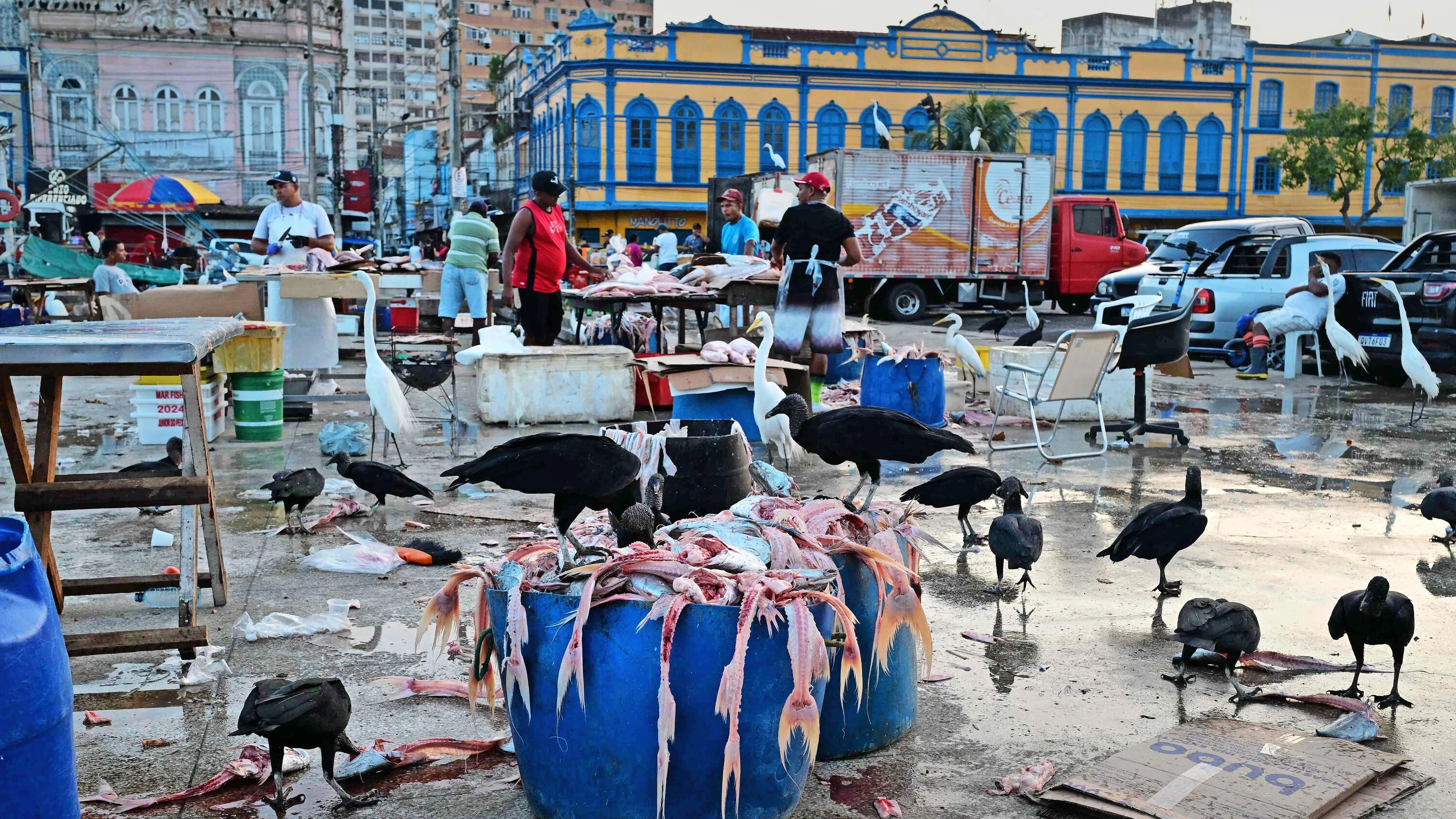 Merz-Äußerungen: Stadtbild-Debatte auf brasilianisch