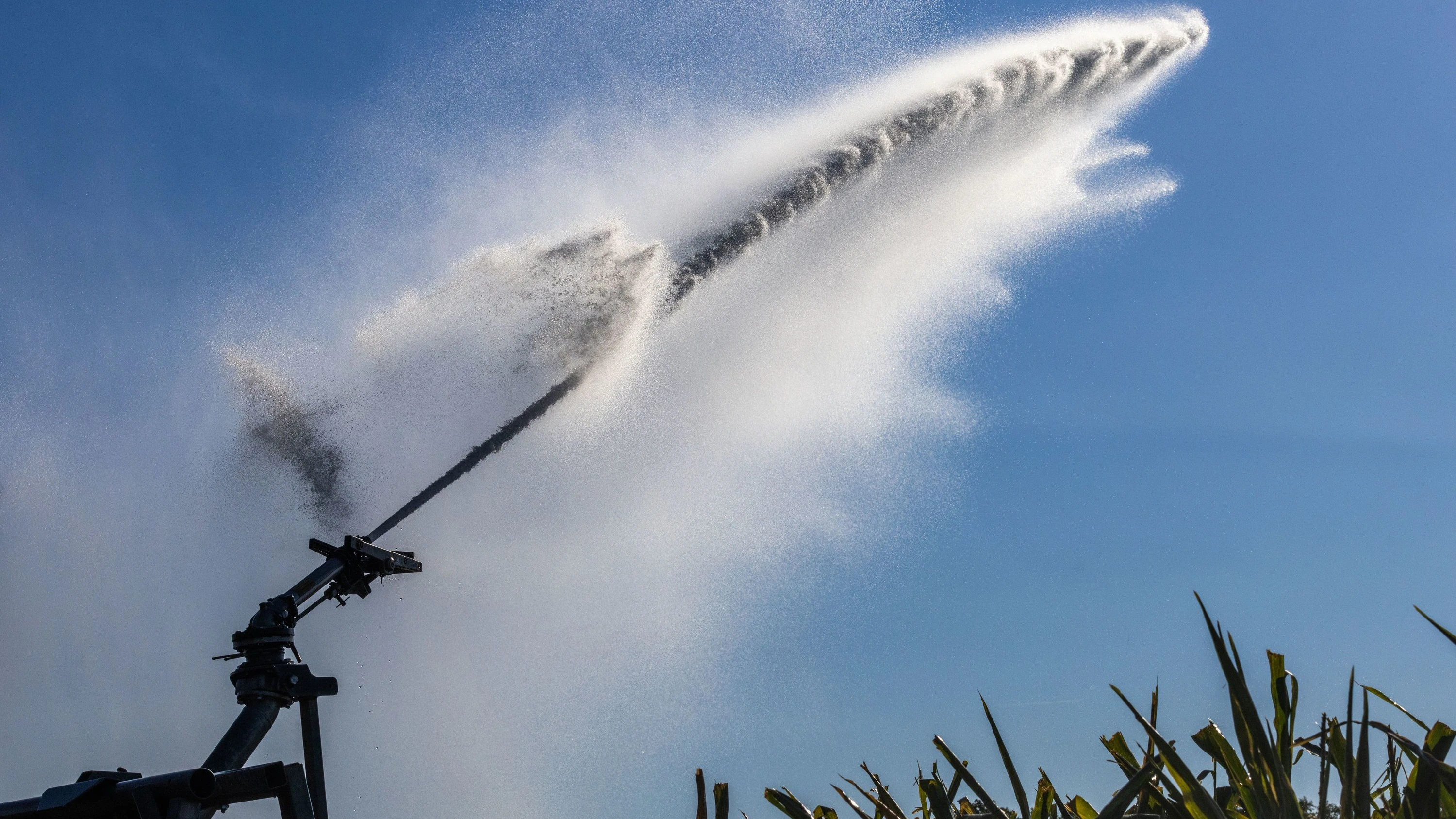 Trockene und schwüle Hitze: Der Klimawandel kommt im Kombipack