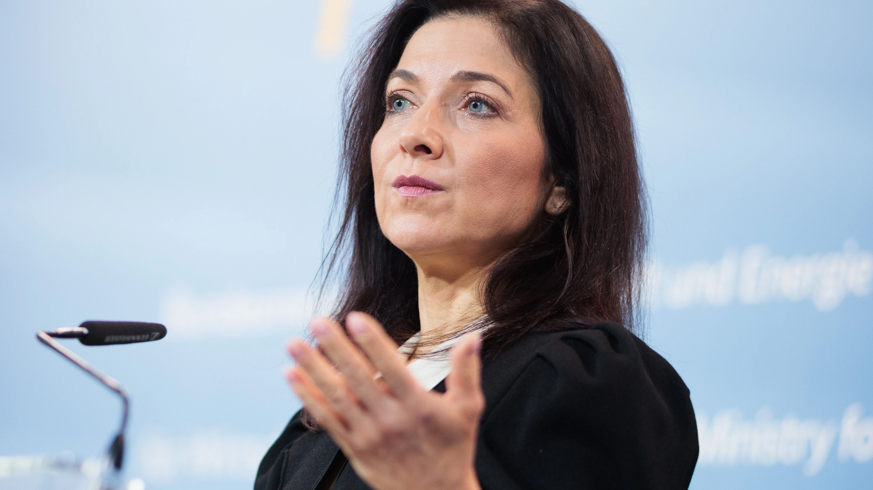 Niedrigere Kosten: CDU-Wirtschaftsrat an Reiche: Setzen Sie die europäischen Klimazölle aus