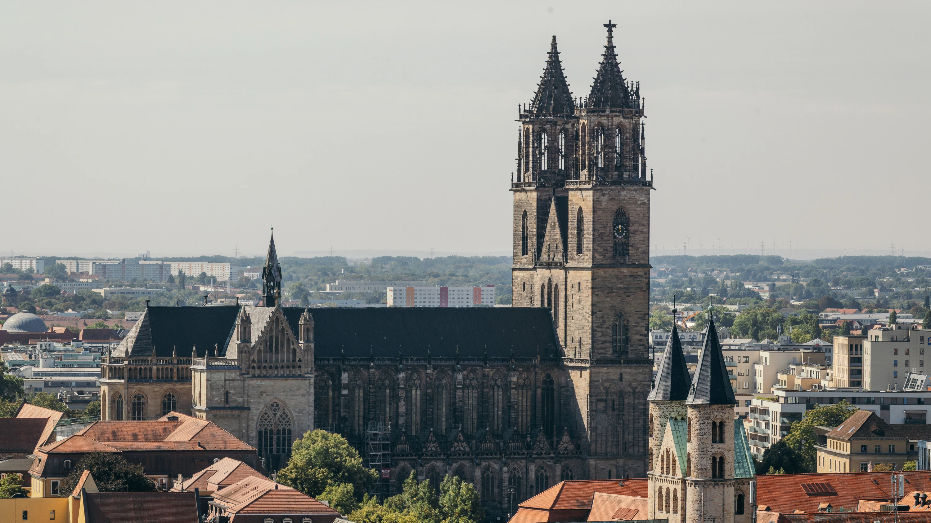 Fristen, Quoren, Kabinett: Wie geht es nach der Wahl in Sachsen-Anhalt weiter? Fristen, Quoren, Kabinett: Wie geht es nach der Wahl in Sachsen-Anhalt weiter?