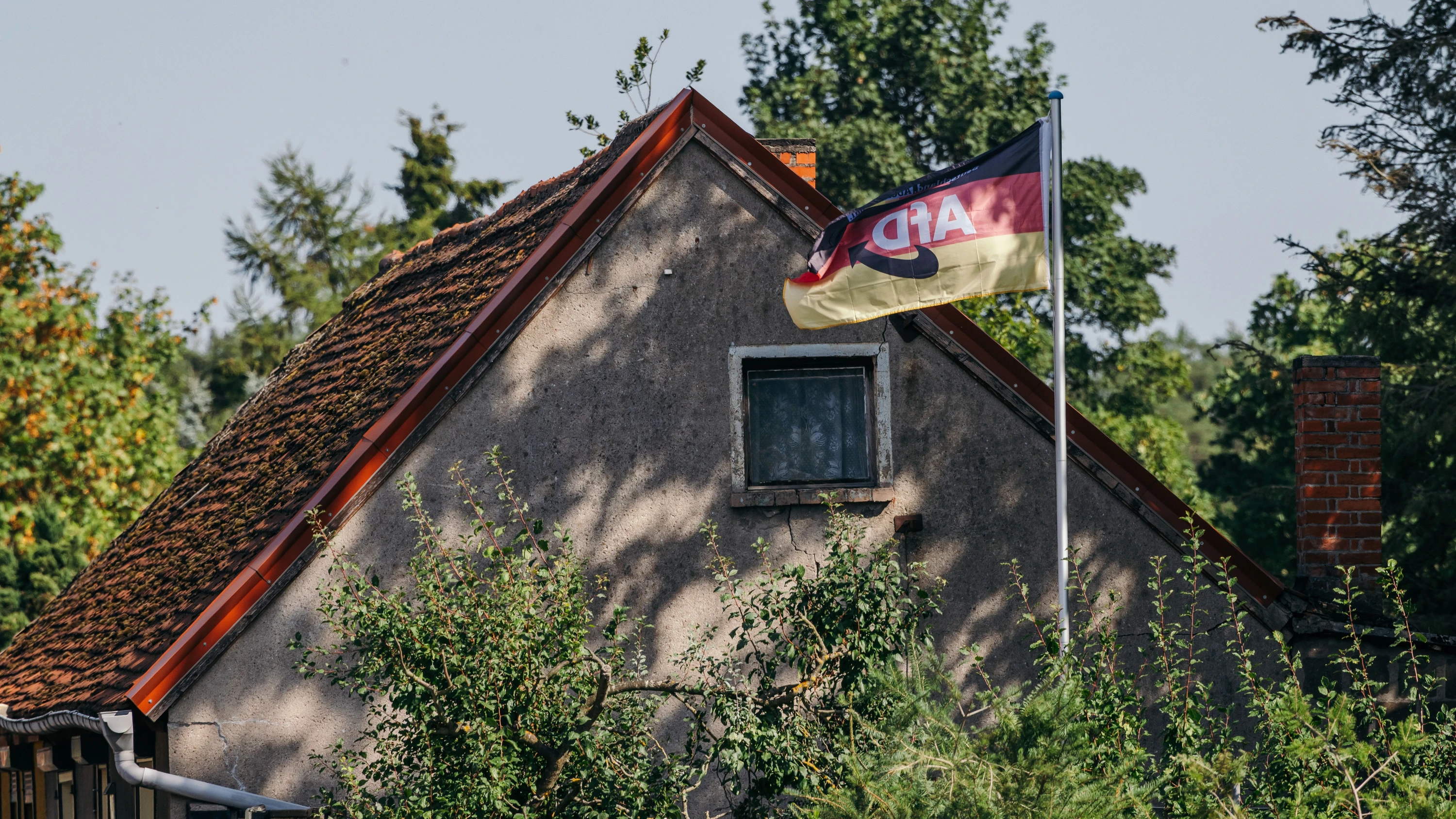 Neue Studie: Wer wählt die AfD?
