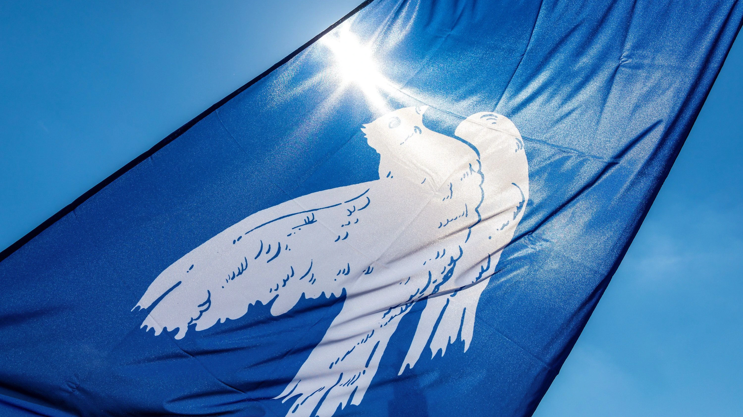 Schülerdemos gegen Wehrpflicht: „Wir wollen nicht als Kanonenfutter enden“