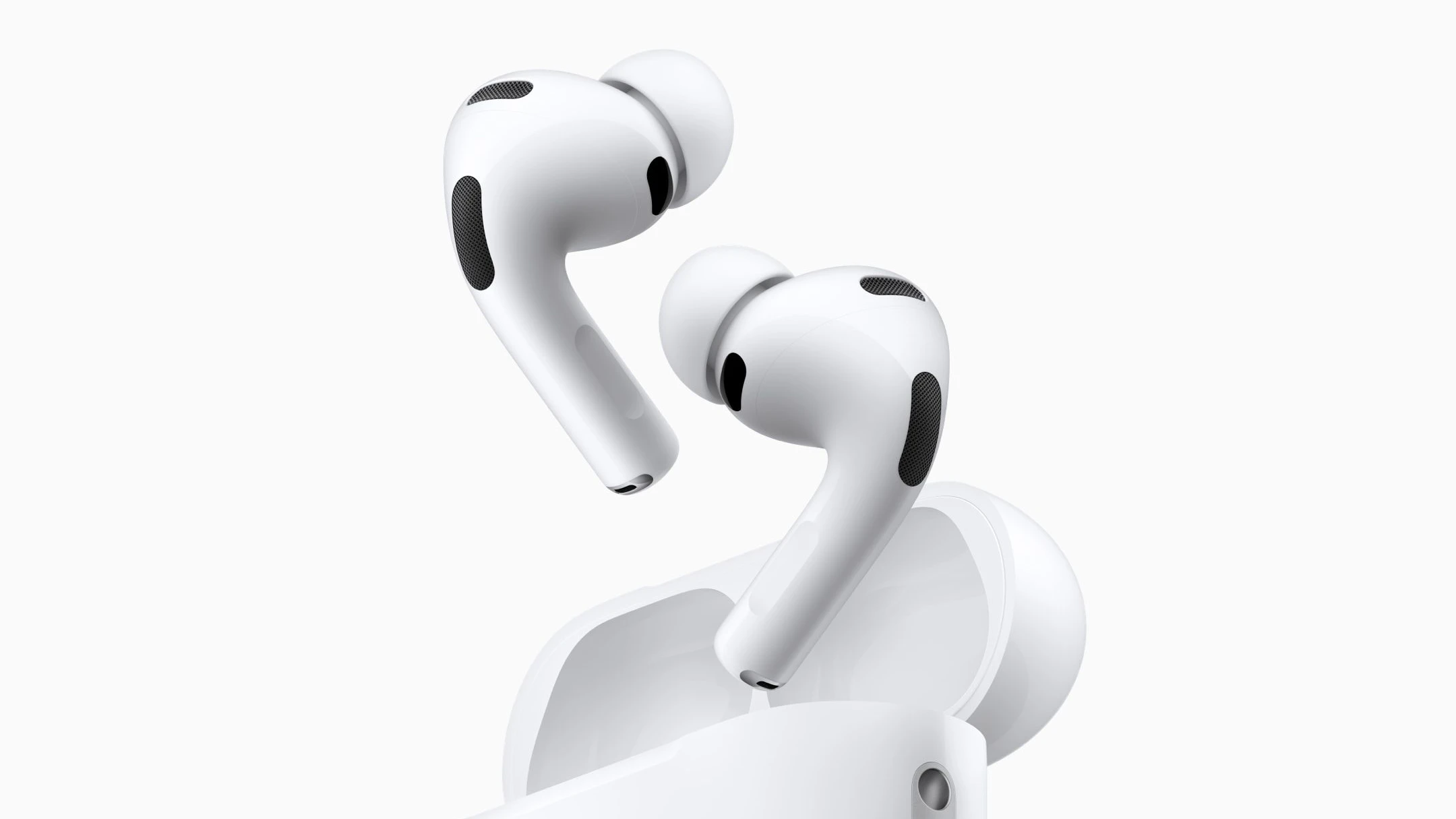 Fundbüro Flughafen: Verliermeinnicht Fundbüro Flughafen: Verliermeinnicht