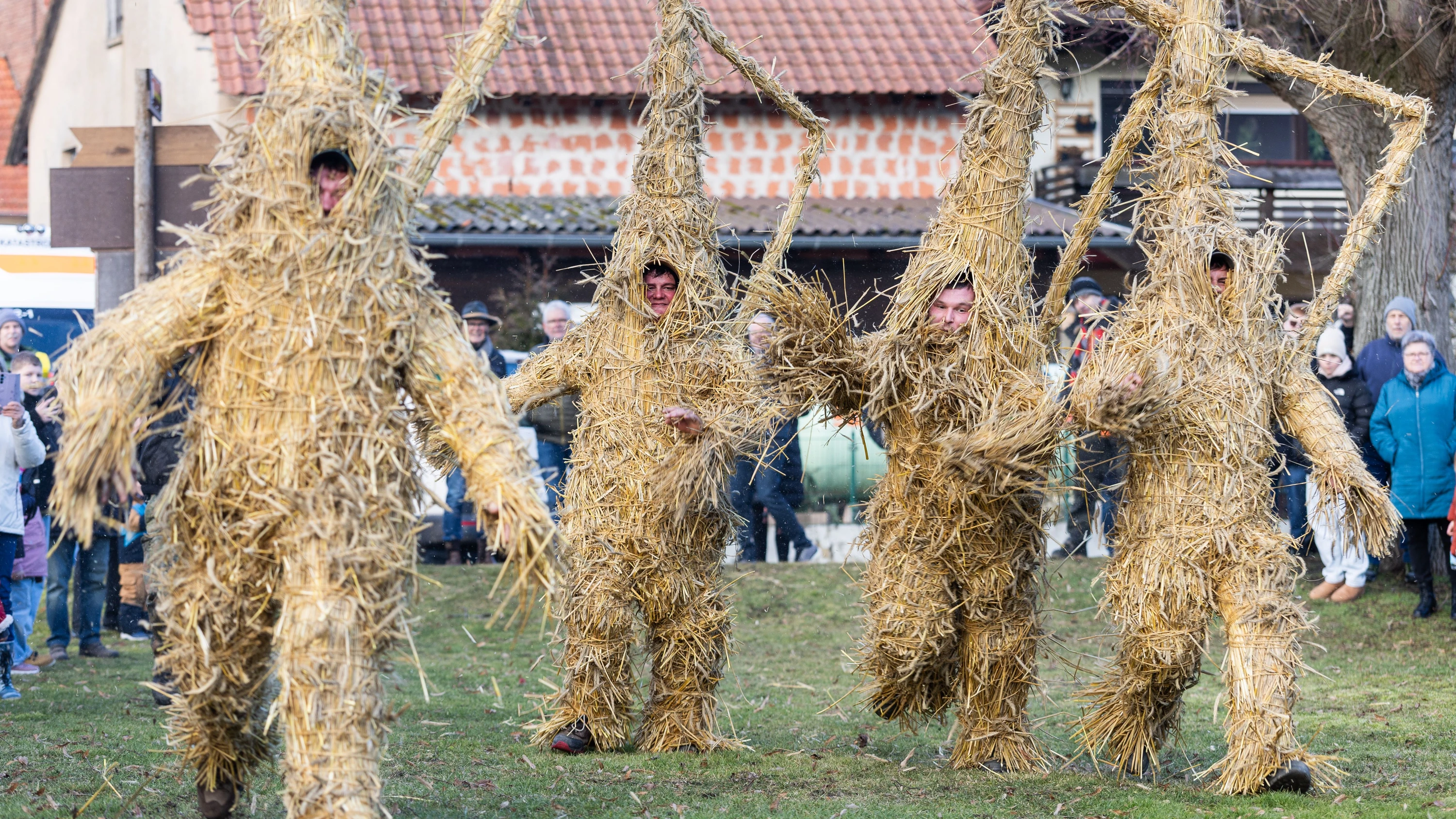 Tradition in Heldra: Die Strohbären sind heute zahmer