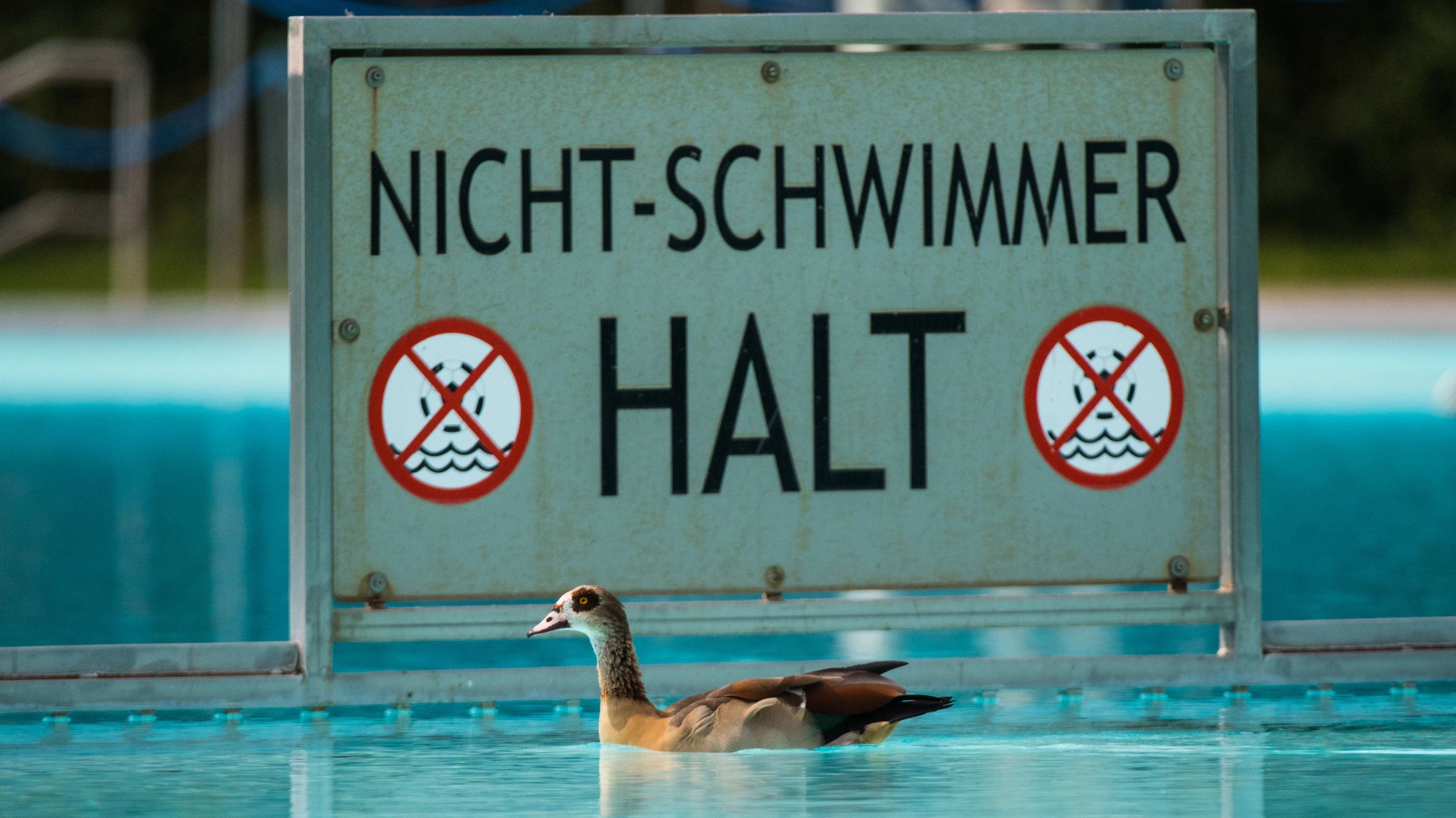 Frankfurter Brentanobad: Bäderbetriebe reagieren spontan auf Wetterumschwung