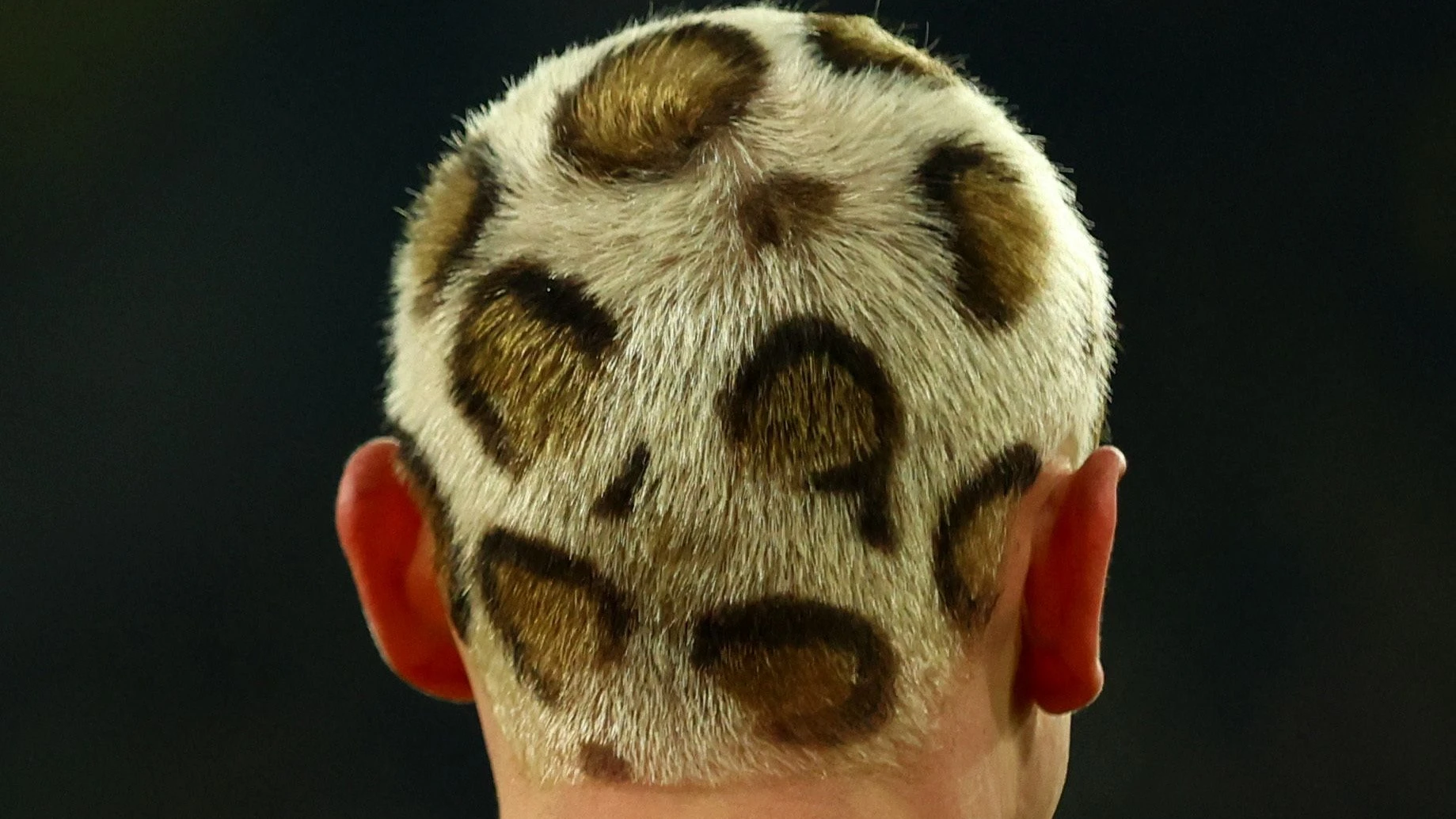 Leo-Look im Fussball: Das Raubtier im Haar