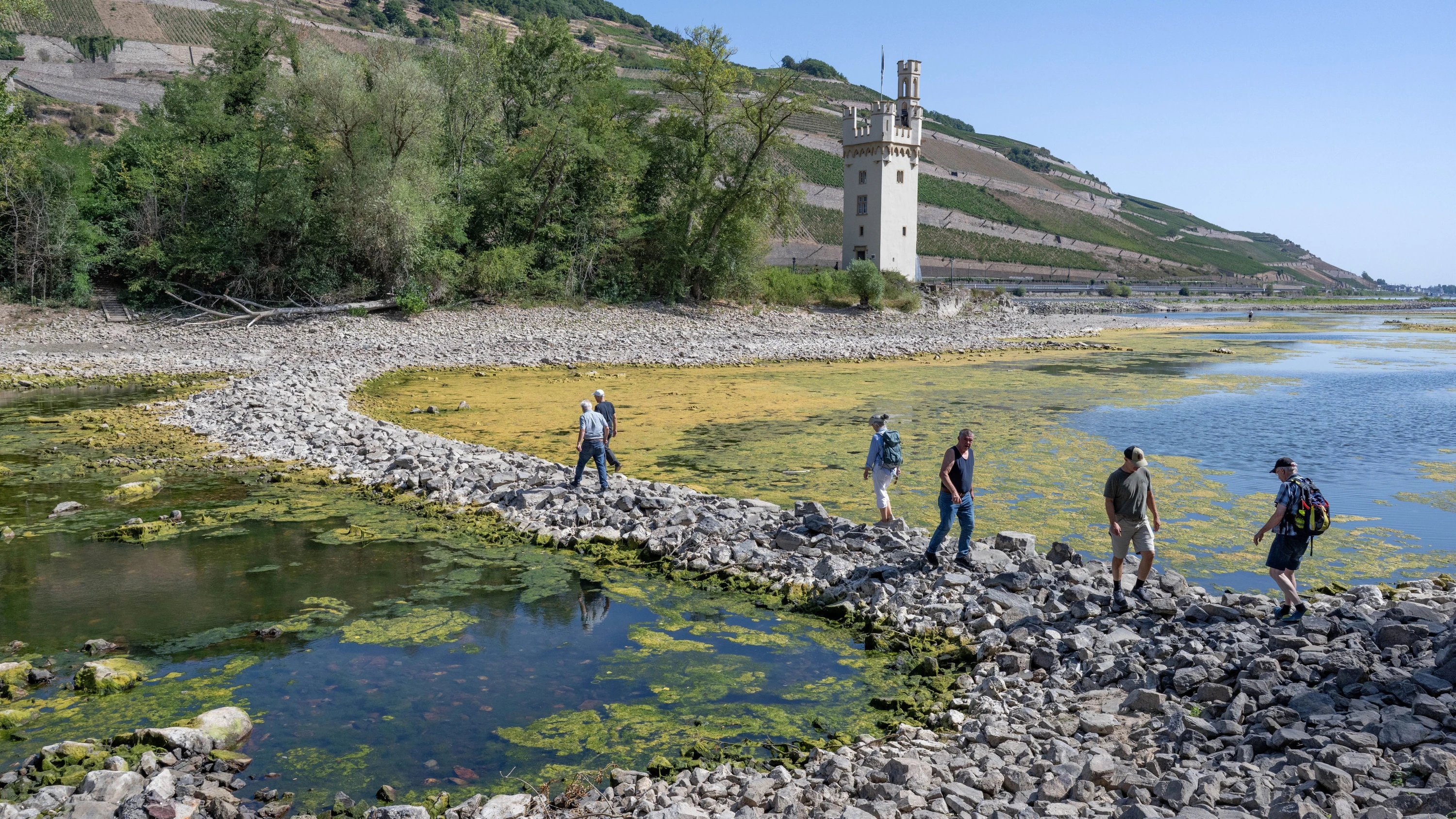Niedrigwasser im Rhein: Neue Kiesbänke und alte Bomben