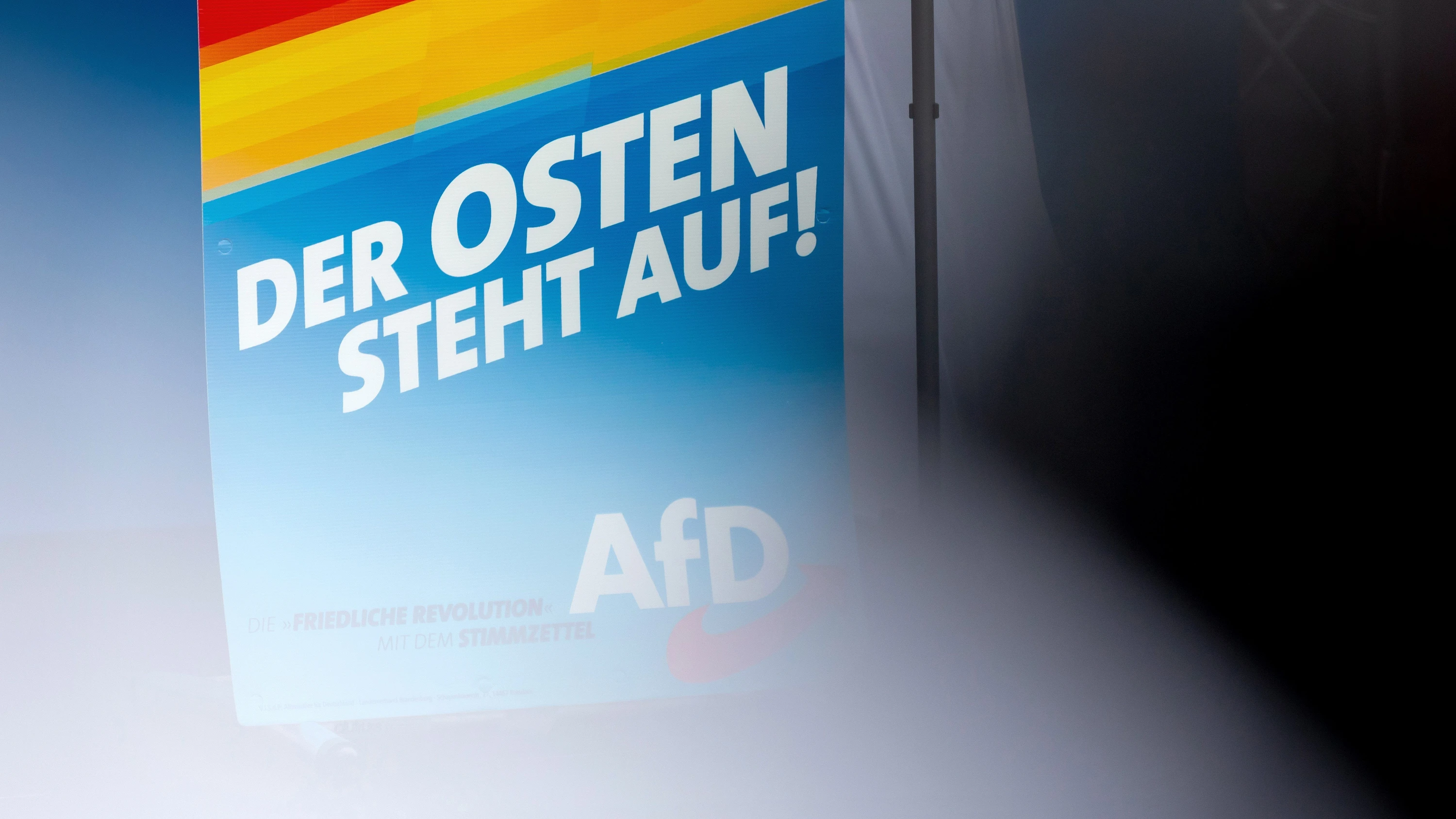 Politische Bücher: Warum ist die AfD in Ostdeutschland so erfolgreich?