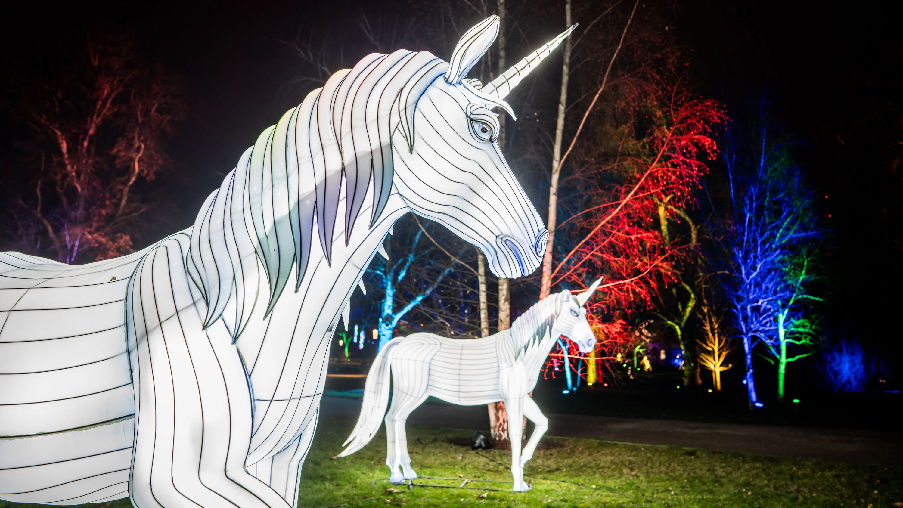 Start-ups unter Druck: Wenn Europas Einhörner ihr Horn verlieren