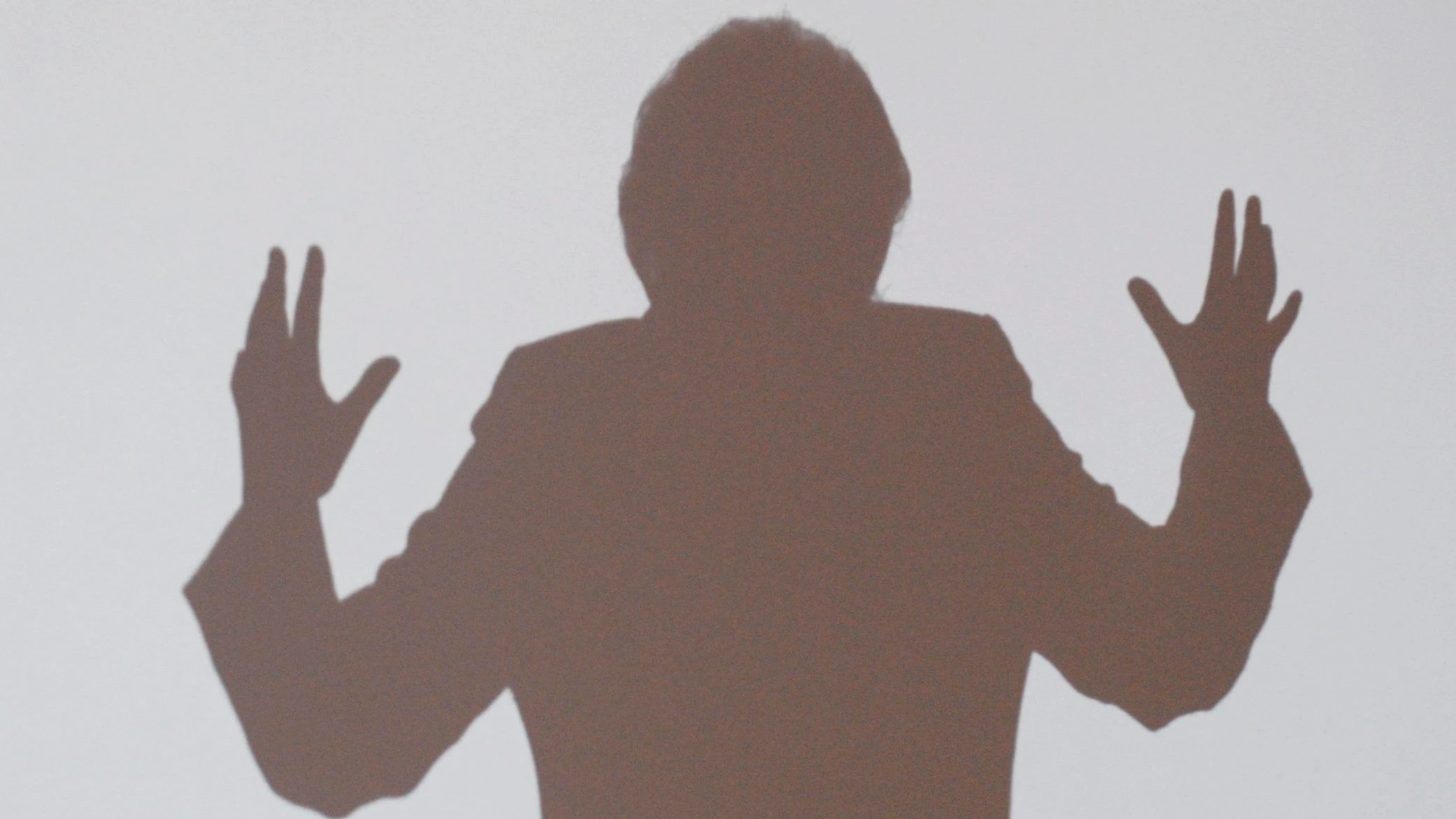 Der Schatten von Angela Merkel während einer Rede im Jahr 2009 - ddp