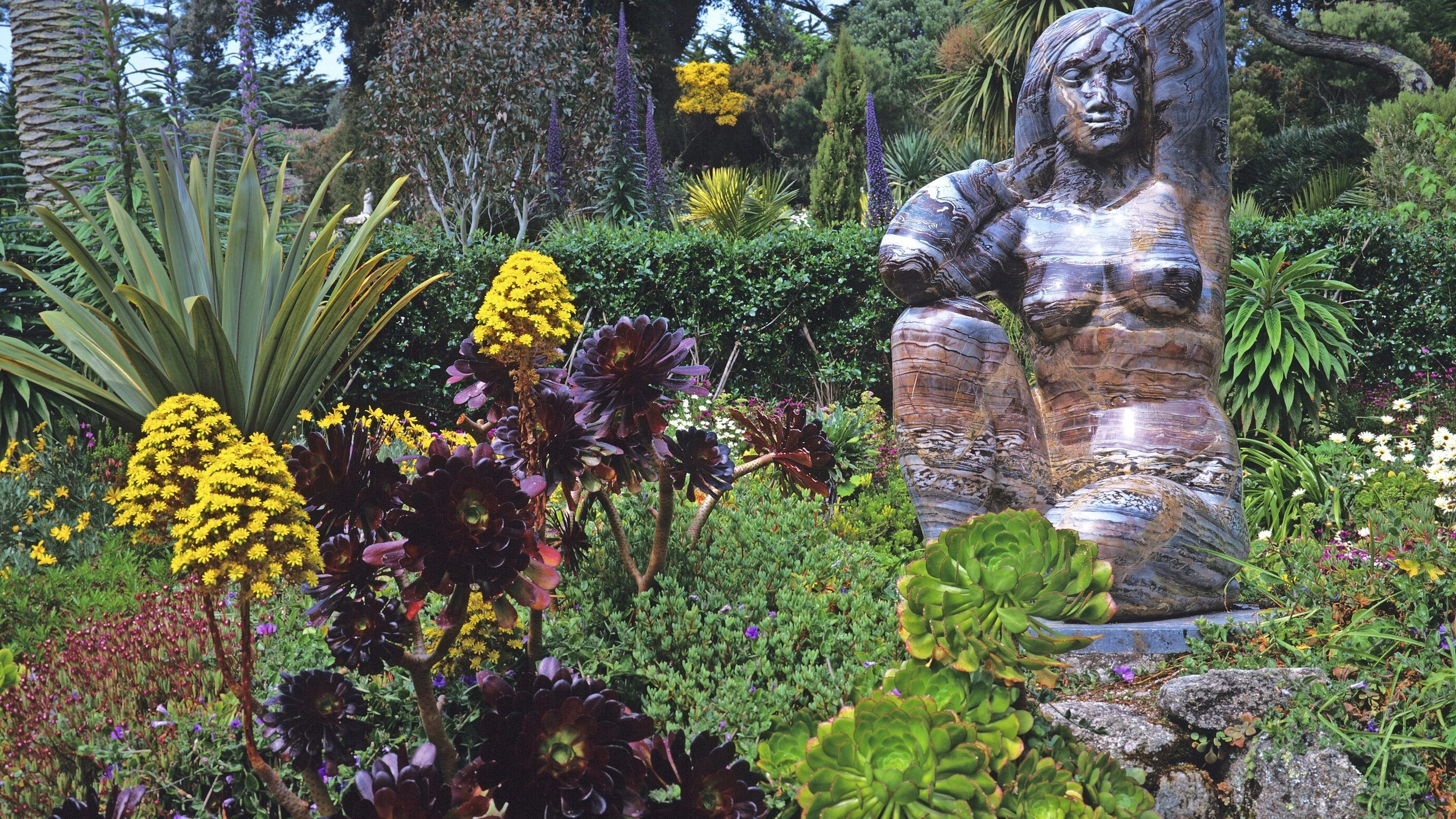 Englands Gärten: Englischer Tropengarten