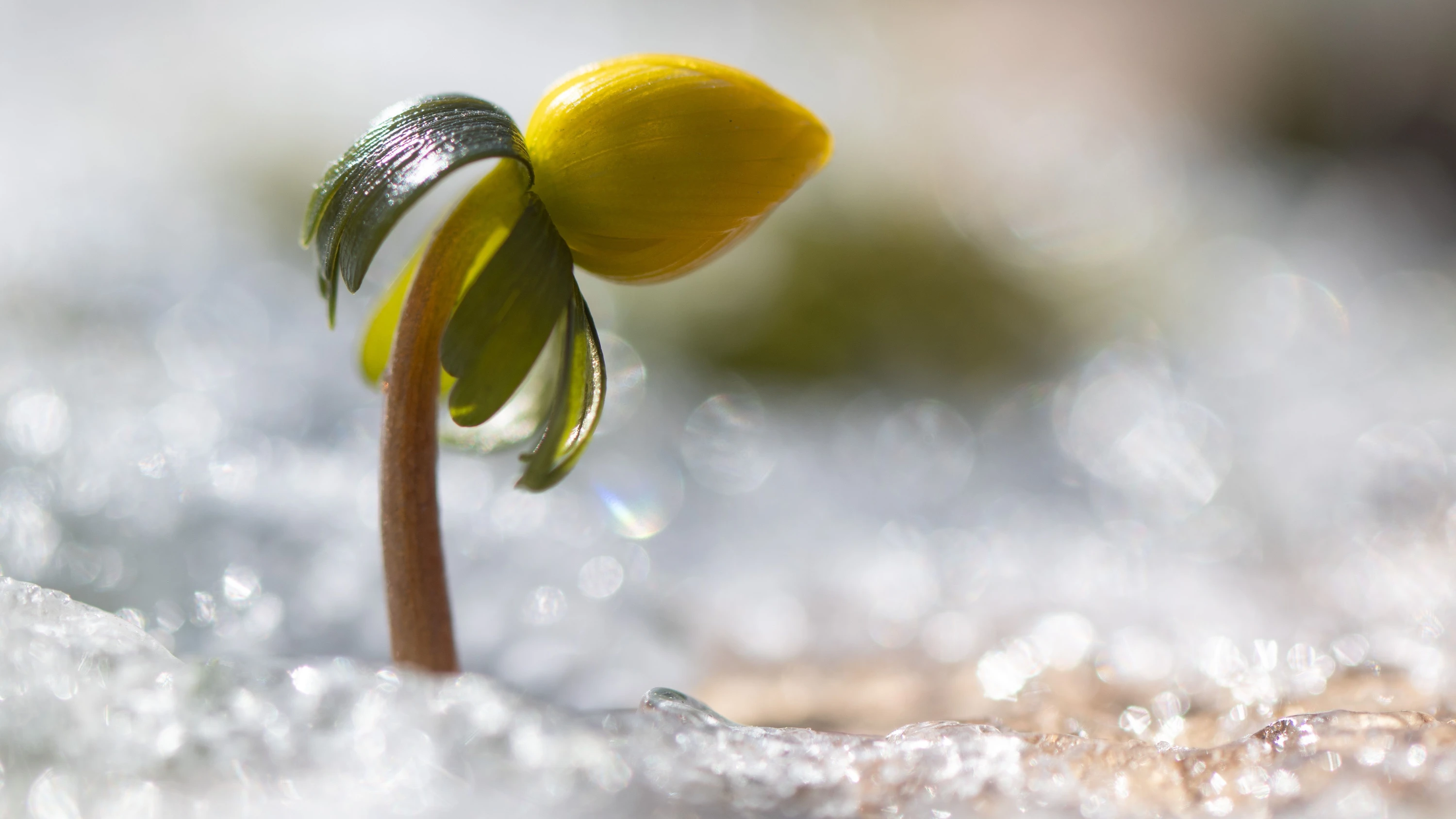 Hessen: Der Winter kommt mit Frost und Glätte zurück