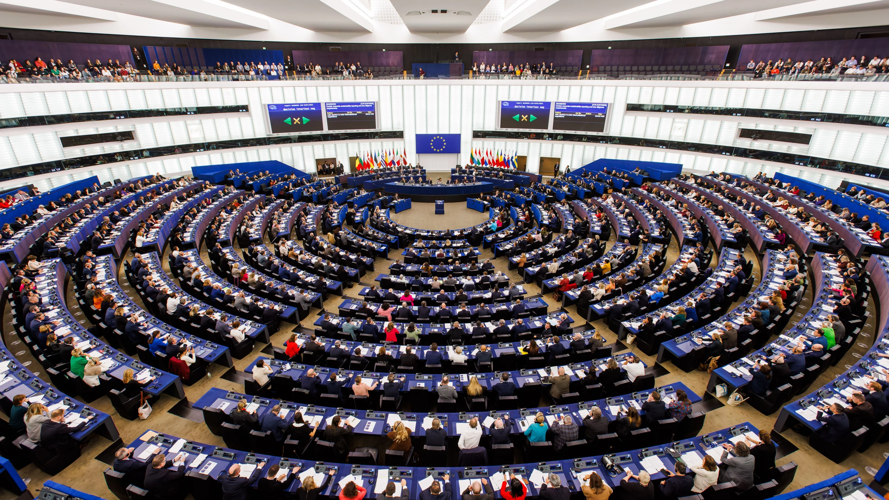 Abgeordnete des Europäischen Parlaments im Herbst 2025 in Straßburg - dpa