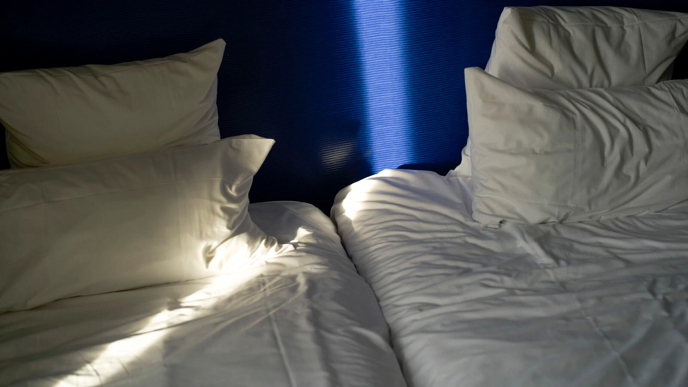 Update von Betroffener: Die Bettwanzen sind immer noch da Update von Betroffener: Die Bettwanzen sind immer noch da