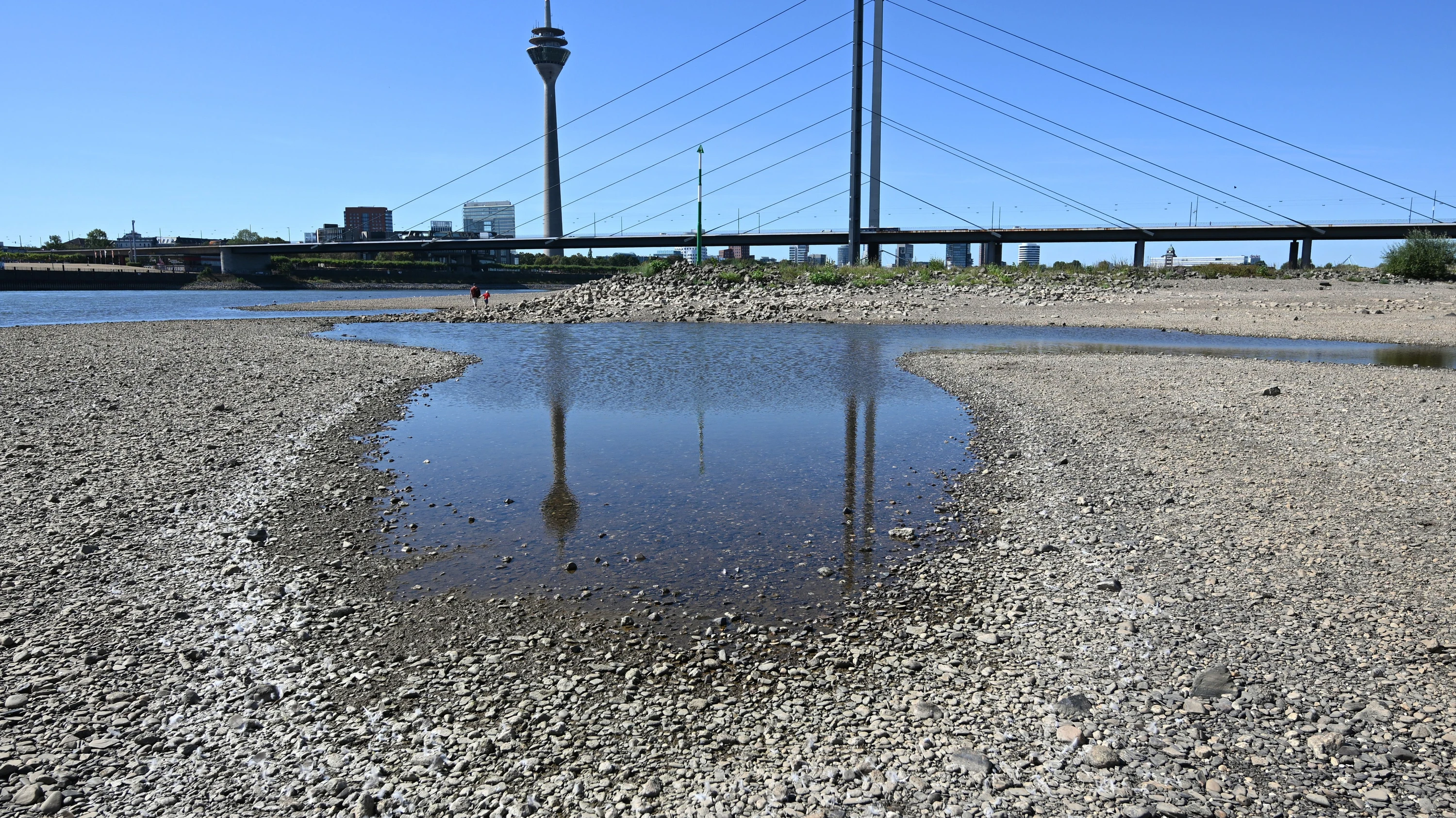 So sieht unser Land in der Klimakrise aus: Hitzeextreme wie in diesem Jahr dürften sich noch mehr häufen. Hier spiegelt sich der Düsseldorfer Rheinturm bei extrem niedrigem Wasserstand auf dem Rhein. - dpa