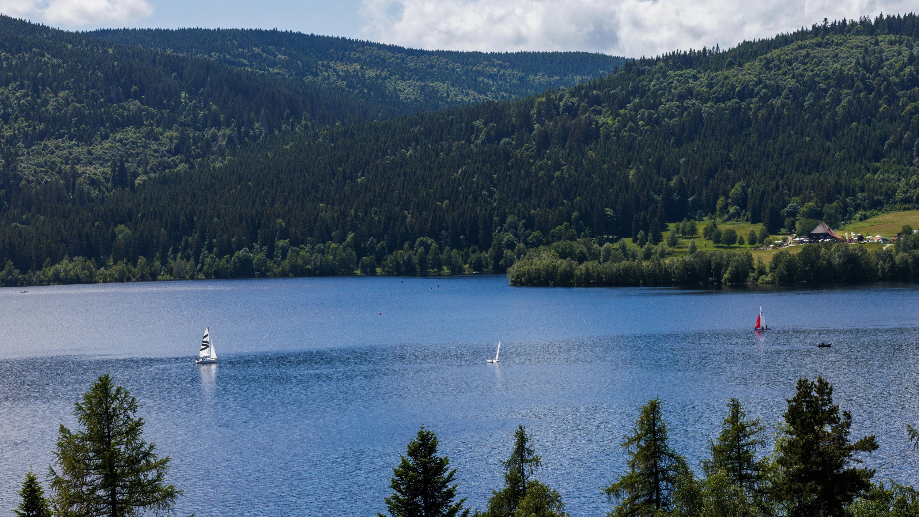 Segelboote fahren über den Schluchsee im Schwarzwald. - dpa