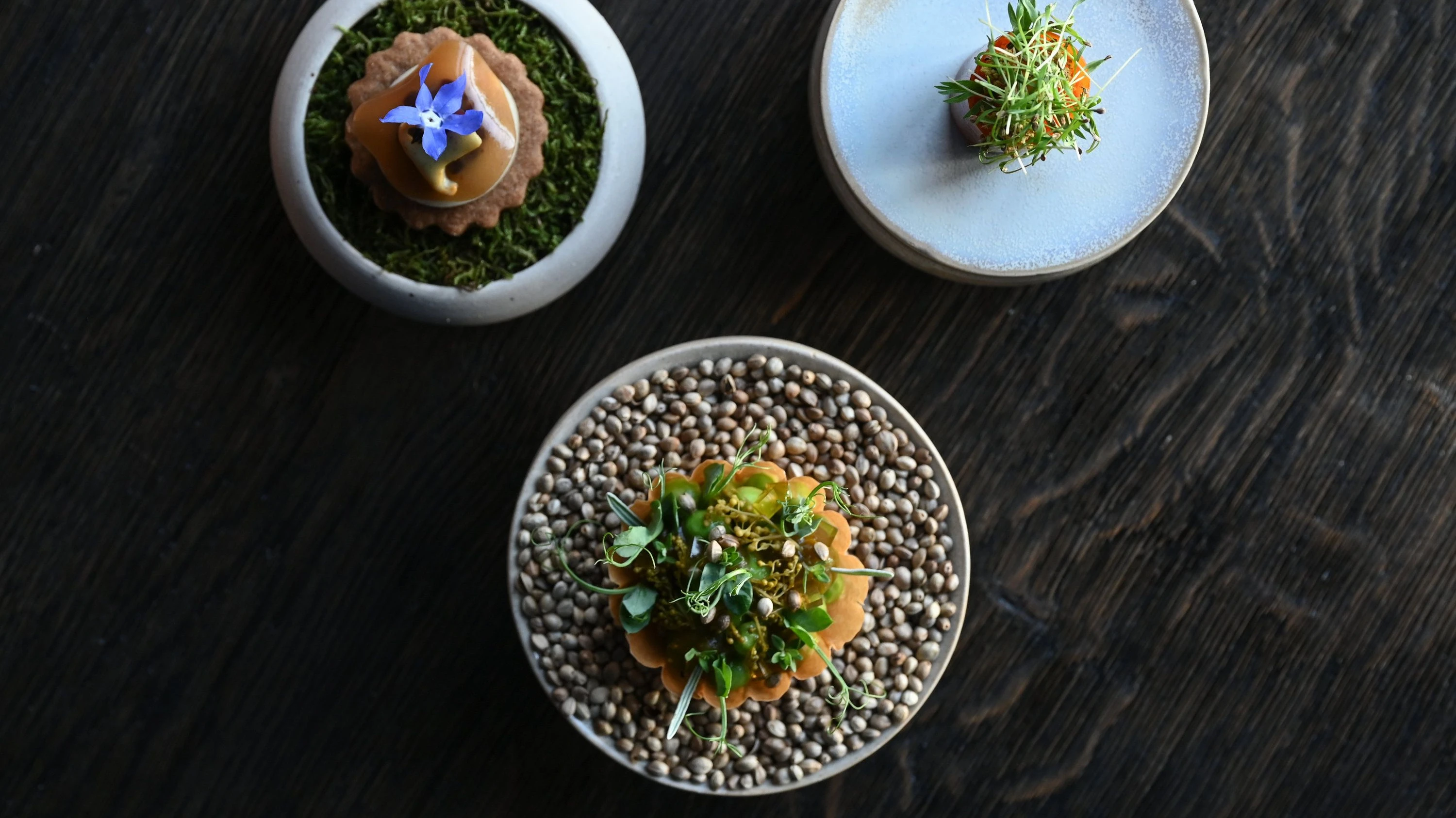 Test der App „Hidden Table“: Schnupperpreise für Sterneküche Test der App „Hidden Table“: Schnupperpreise für Sterneküche