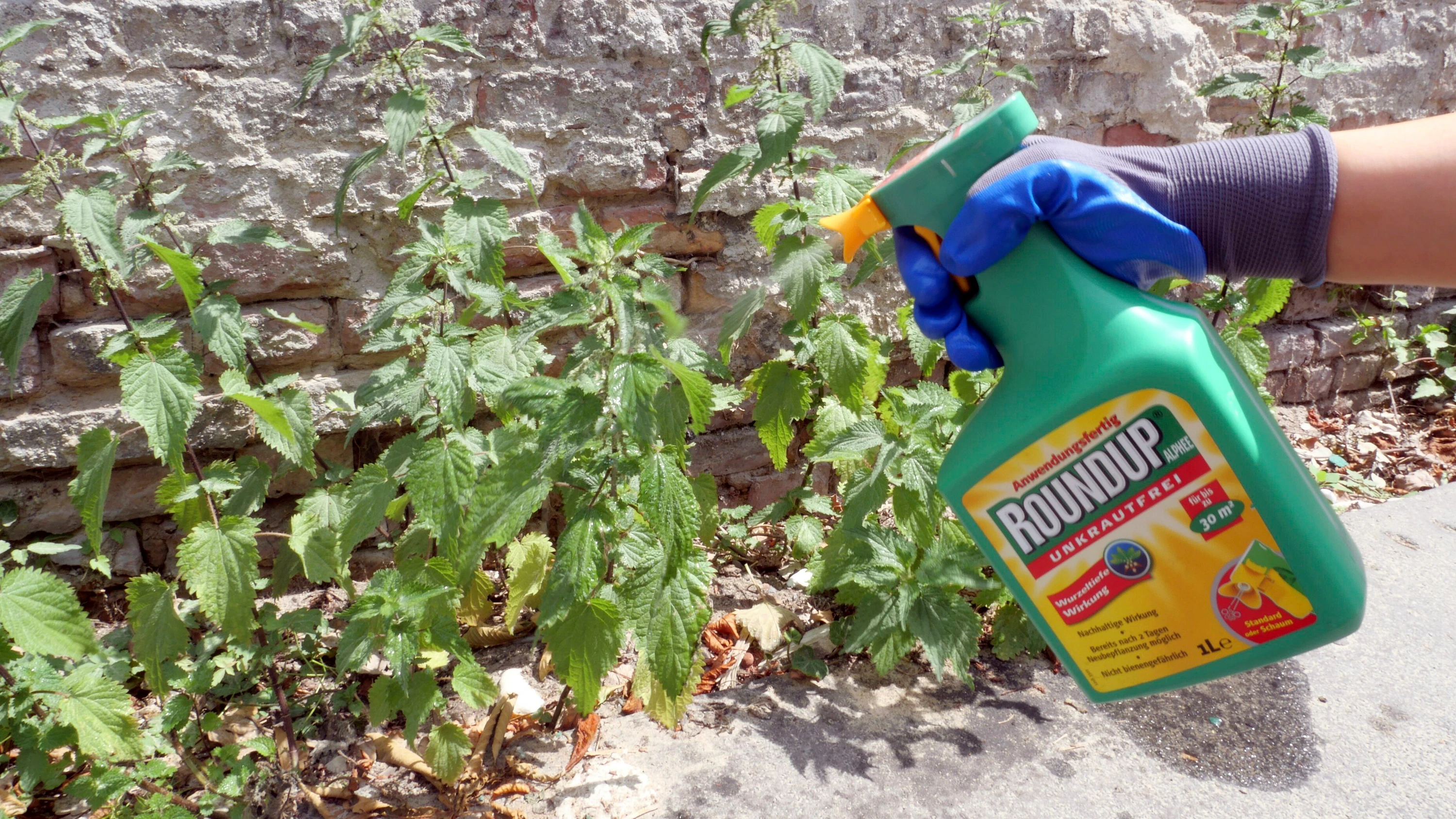 Altlast Glyphosat in den USA: Bayers sehr teure Schadensbegrenzung