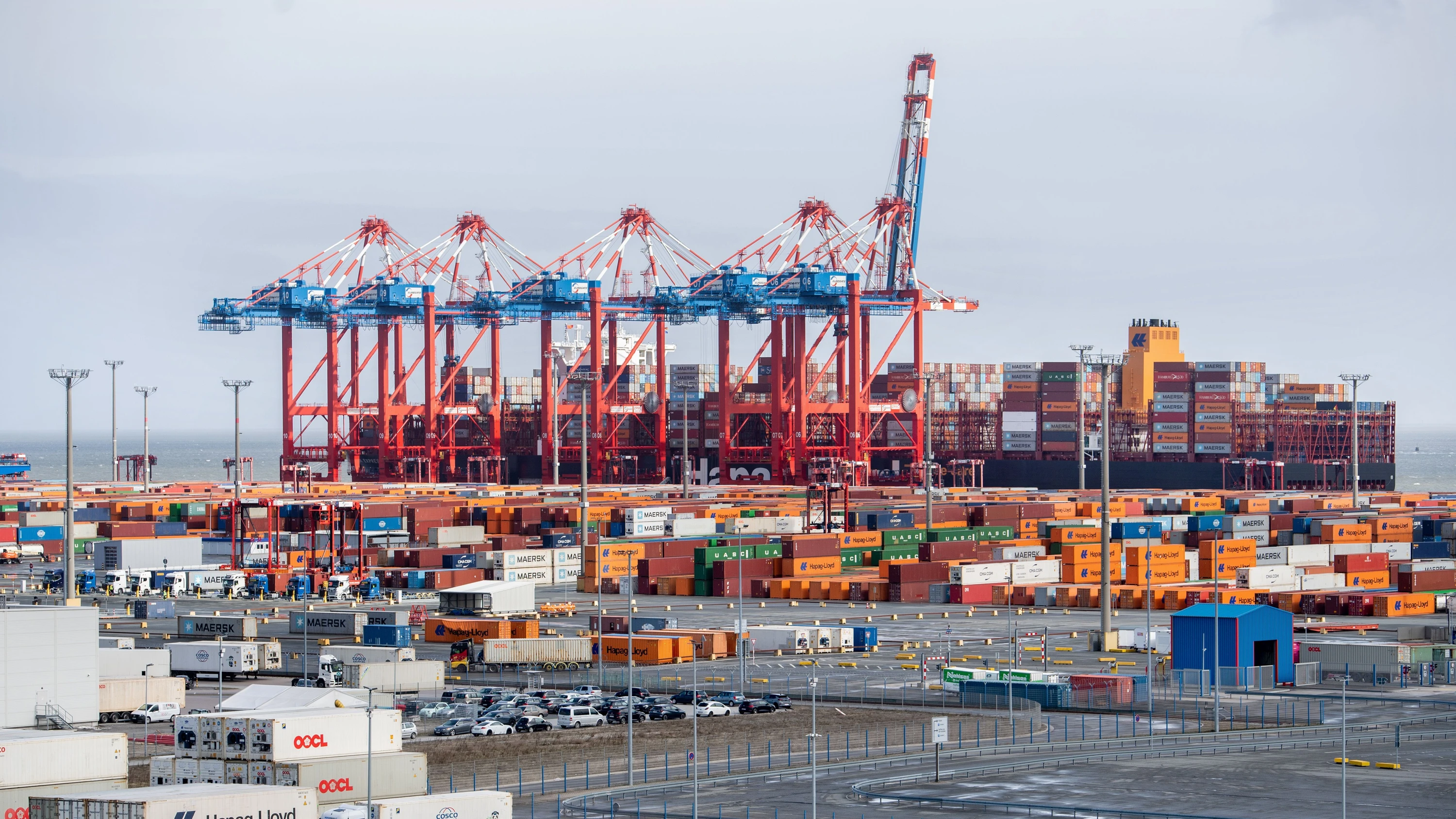 Allianz Trade: Deutsche Exporteure erwarten Wachstum