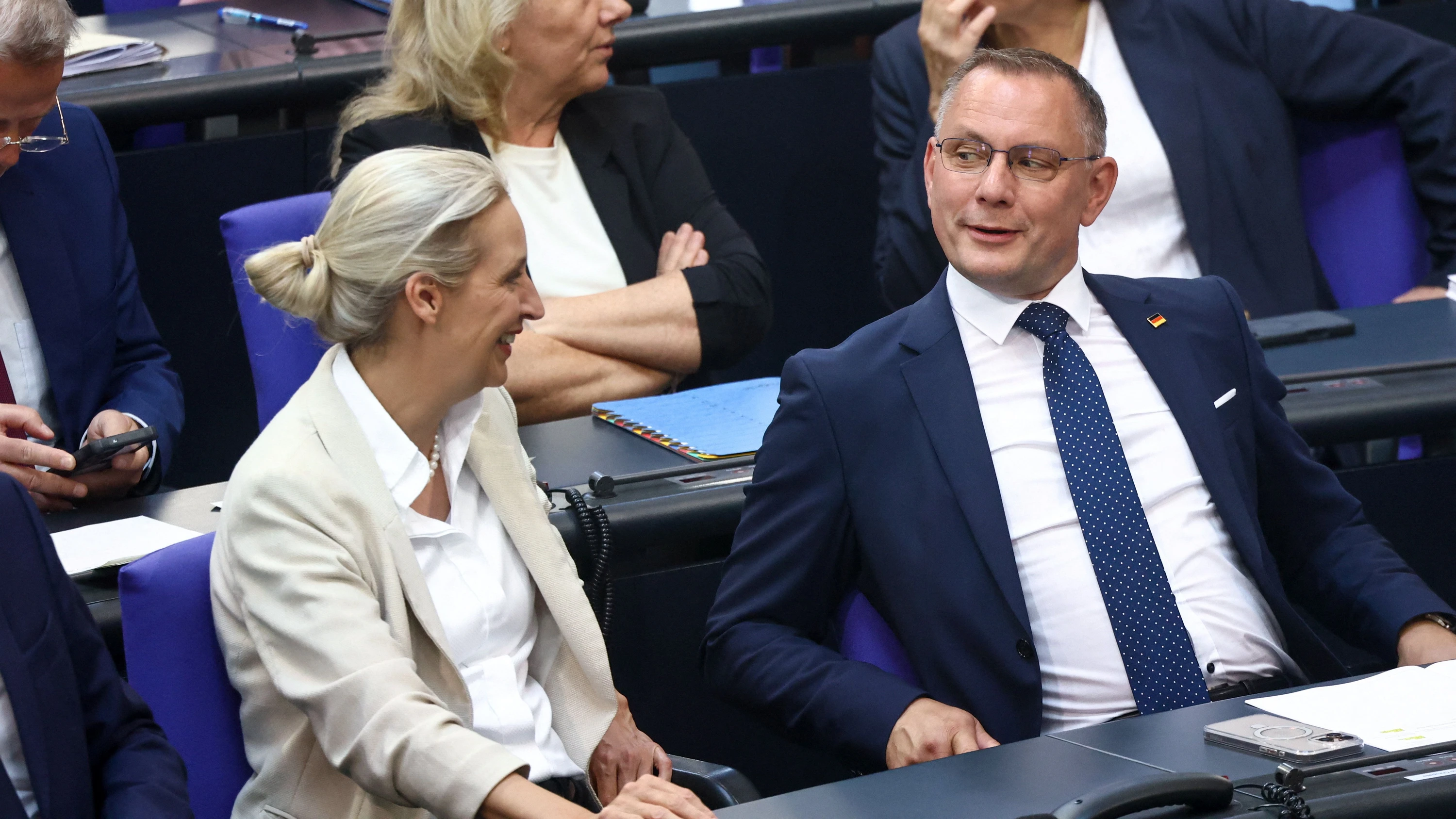 AfD-Bundesparteitag: Alternative für Funktionäre