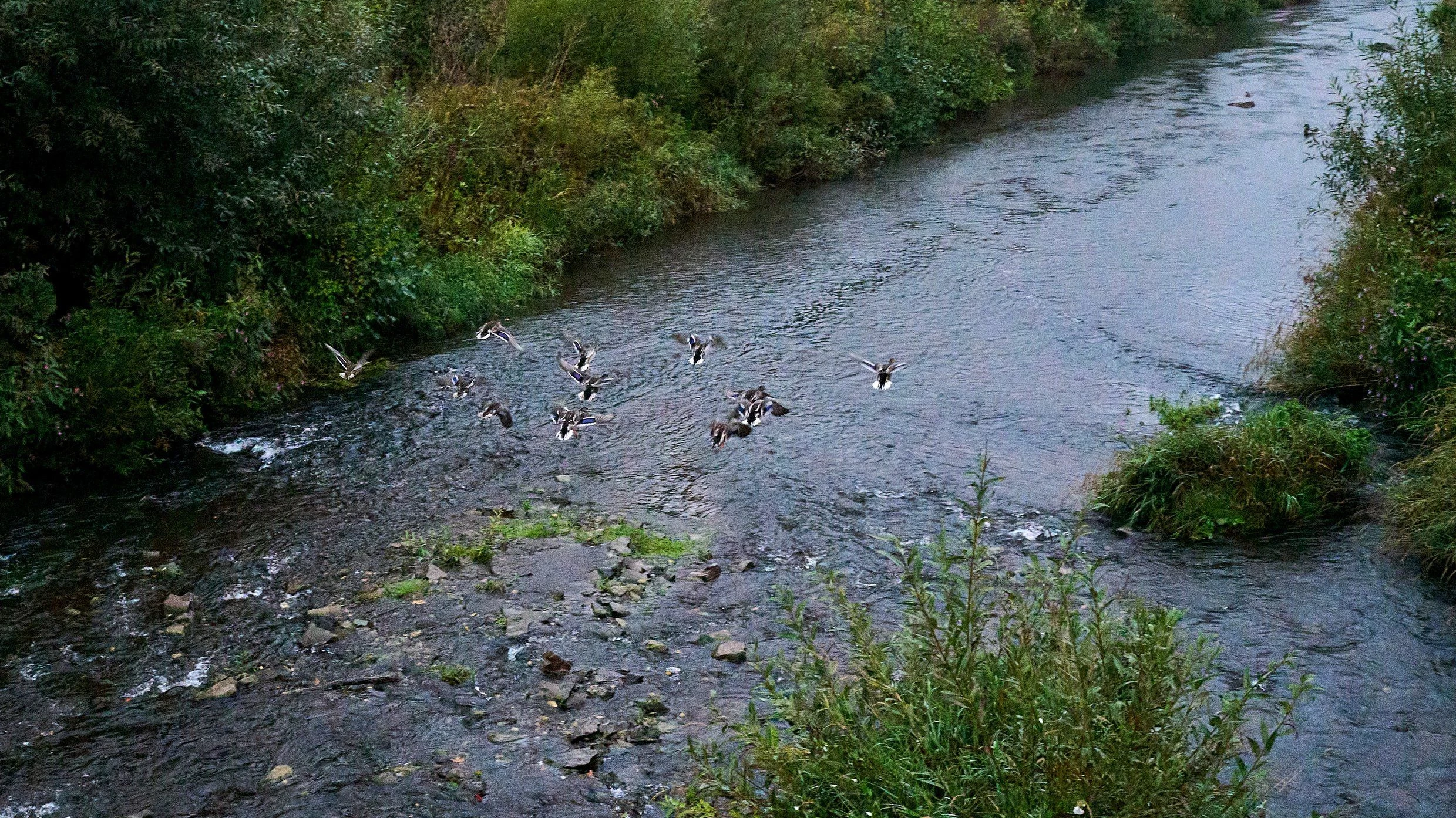 Stickstoffbelastung: Schneller Kreislauf, schmutziges Wasser Stickstoffbelastung: Schneller Kreislauf, schmutziges Wasser