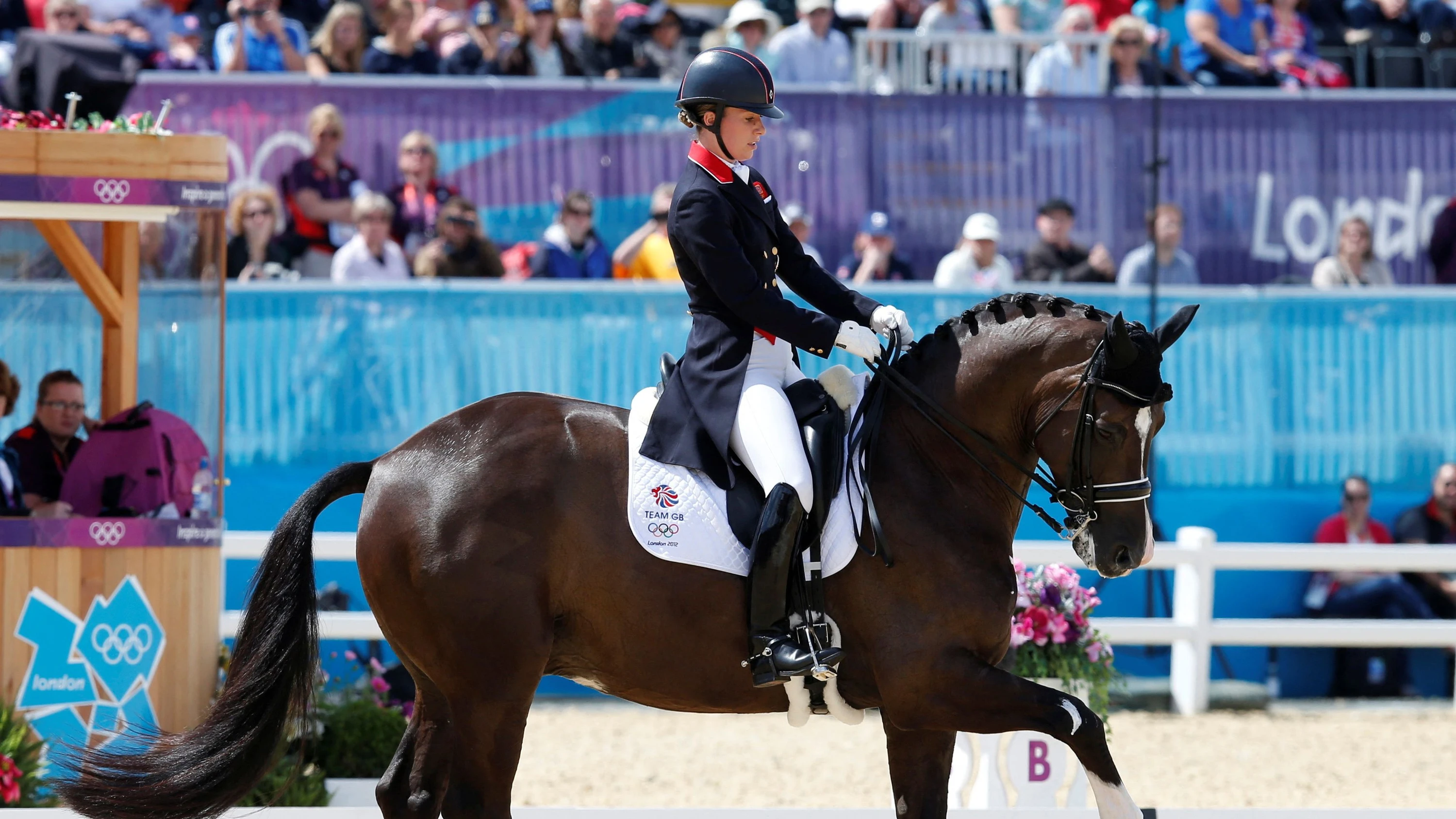 Trauer um Dressurpferd: „Ein Verlust, der nur schwer zu begreifen ist“