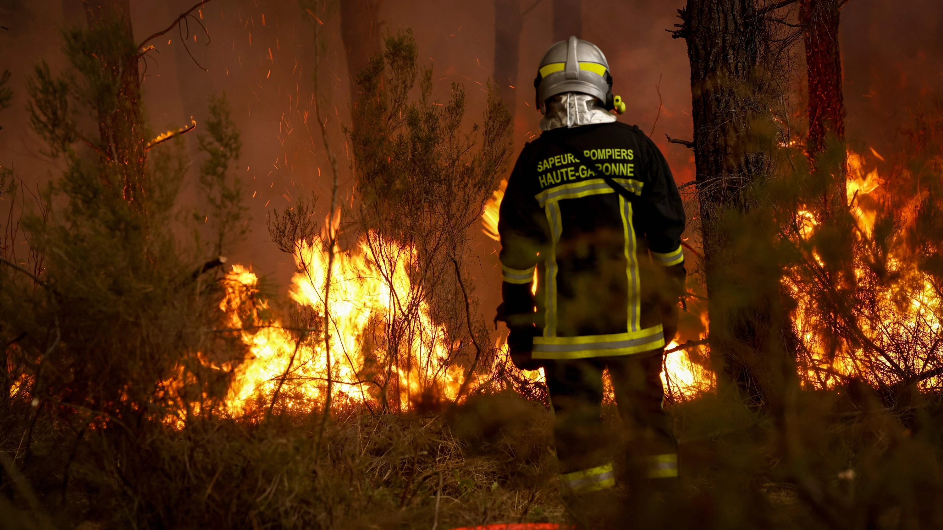 WaldBrand Frankreich: Tourismusminister: Bucht Urlaub um!