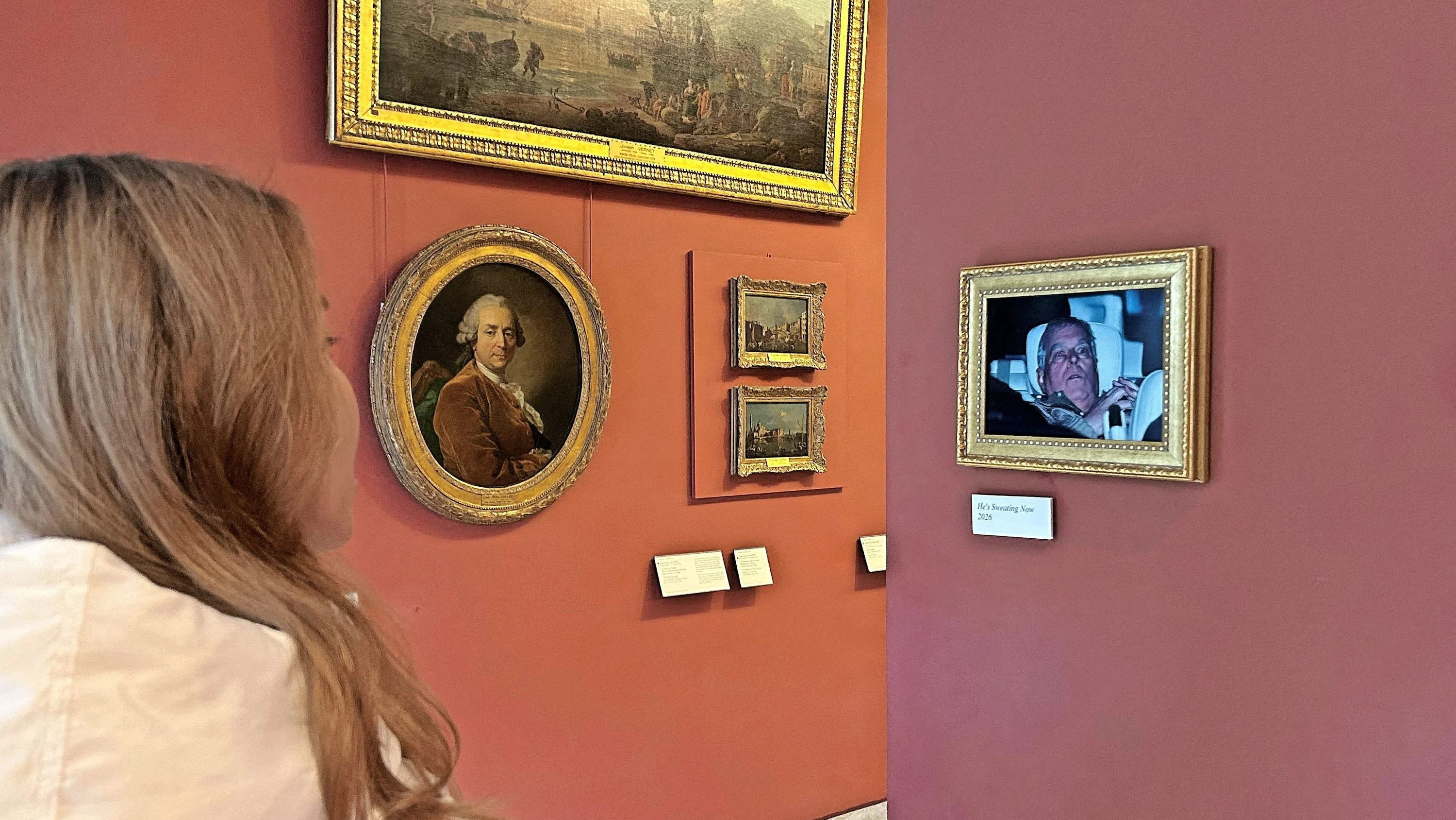 Guerilla-Aktion: Wie kam das Foto von Andrew in den Louvre?