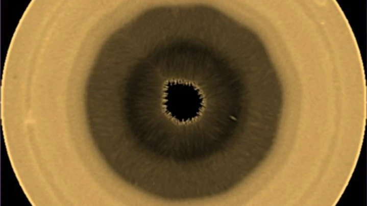 Geometrischer Gasplanet: Ein Zehneck auf dem Saturn