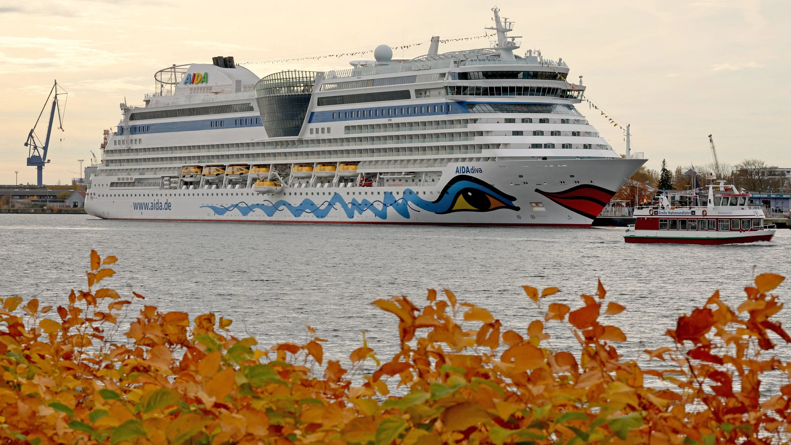 101 Menschen infiziert: Norovirus-Ausbruch auf Aida-Kreuzfahrt