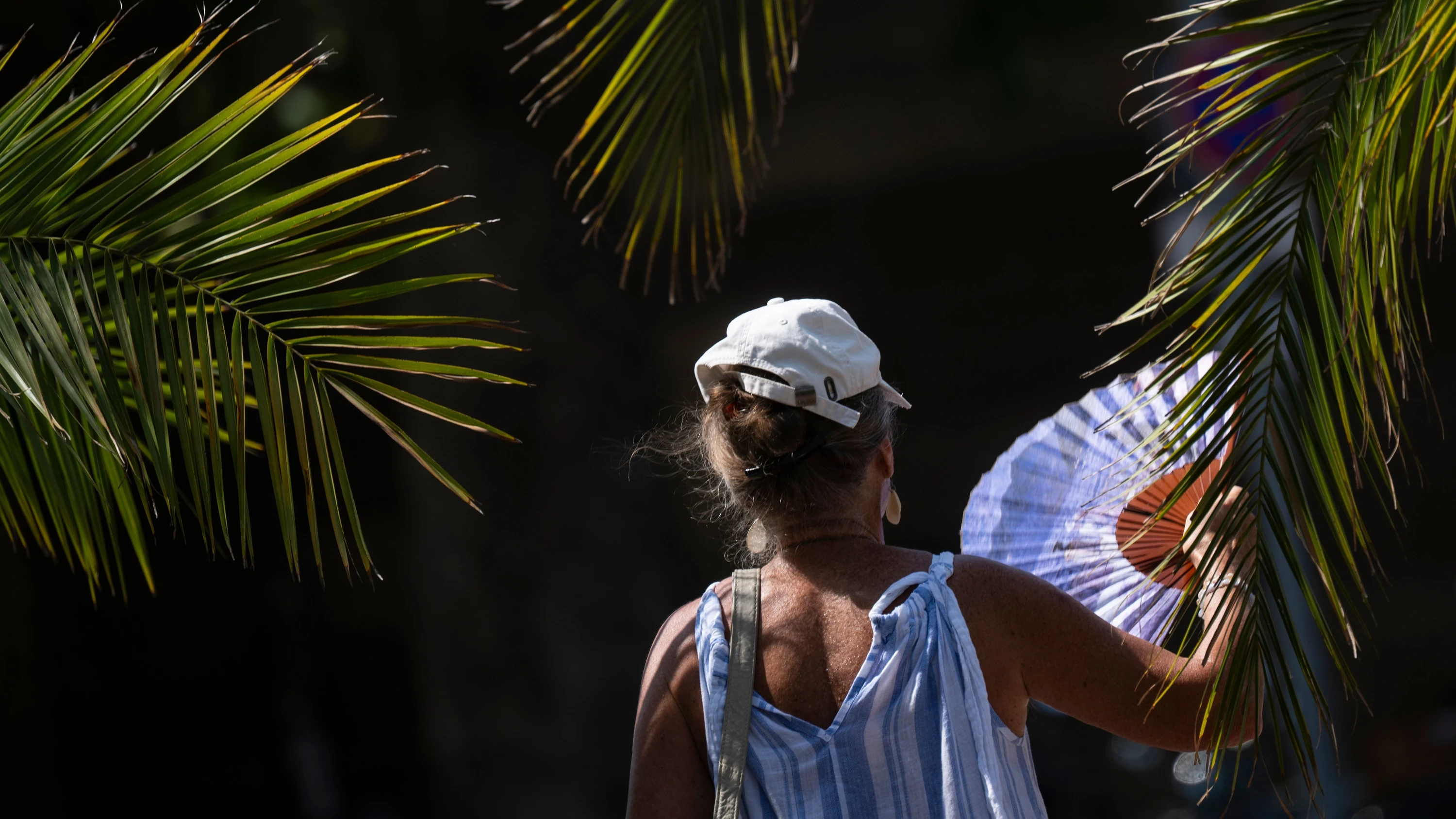 Danach kühlt es ab: Kleine Hitzewelle bringt bis zu 38 Grad nach Deutschland