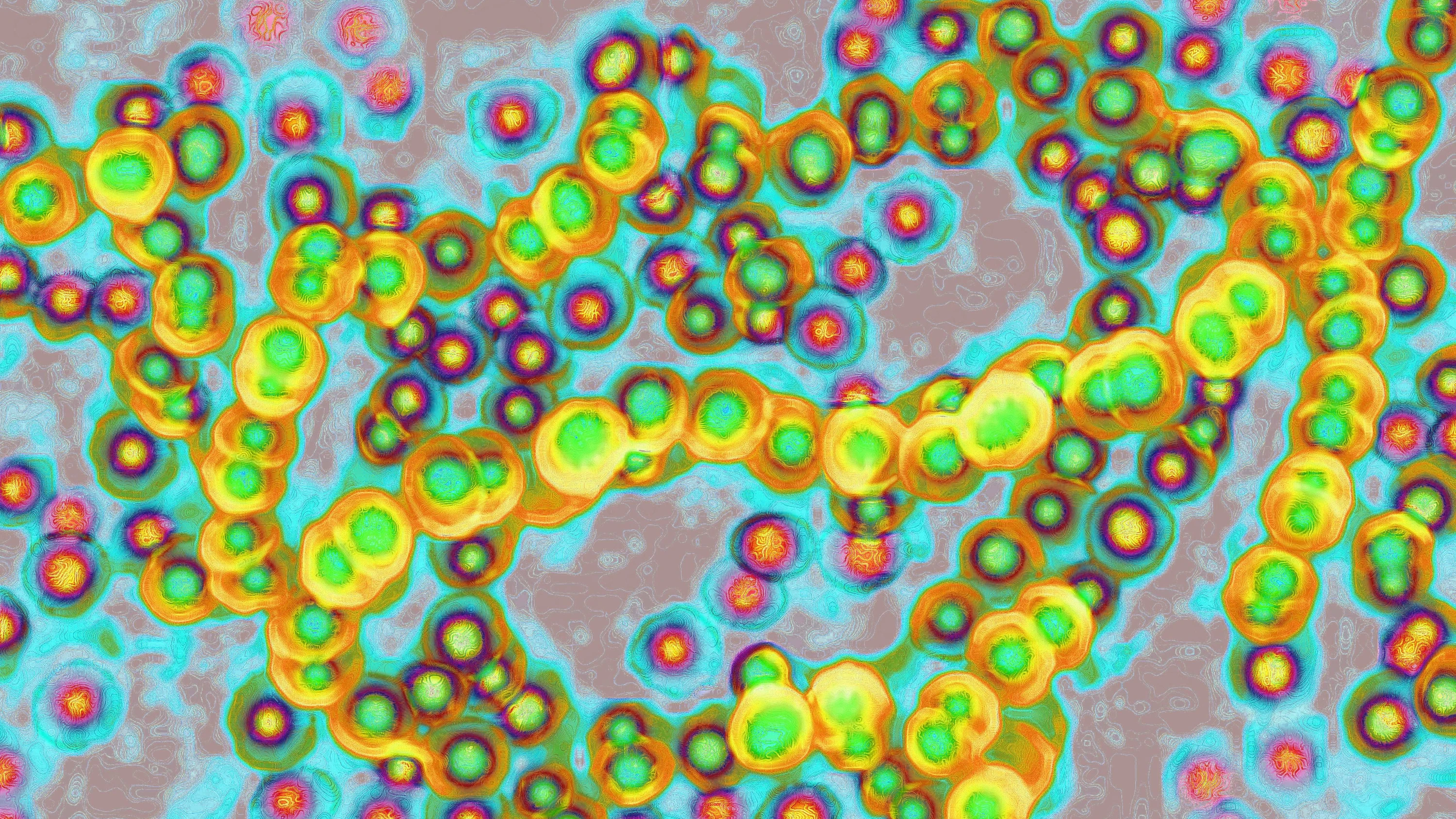 Bild: Kampf gegen Bakterien: Neuer Therapie-Ansatz bei Blutvergiftung