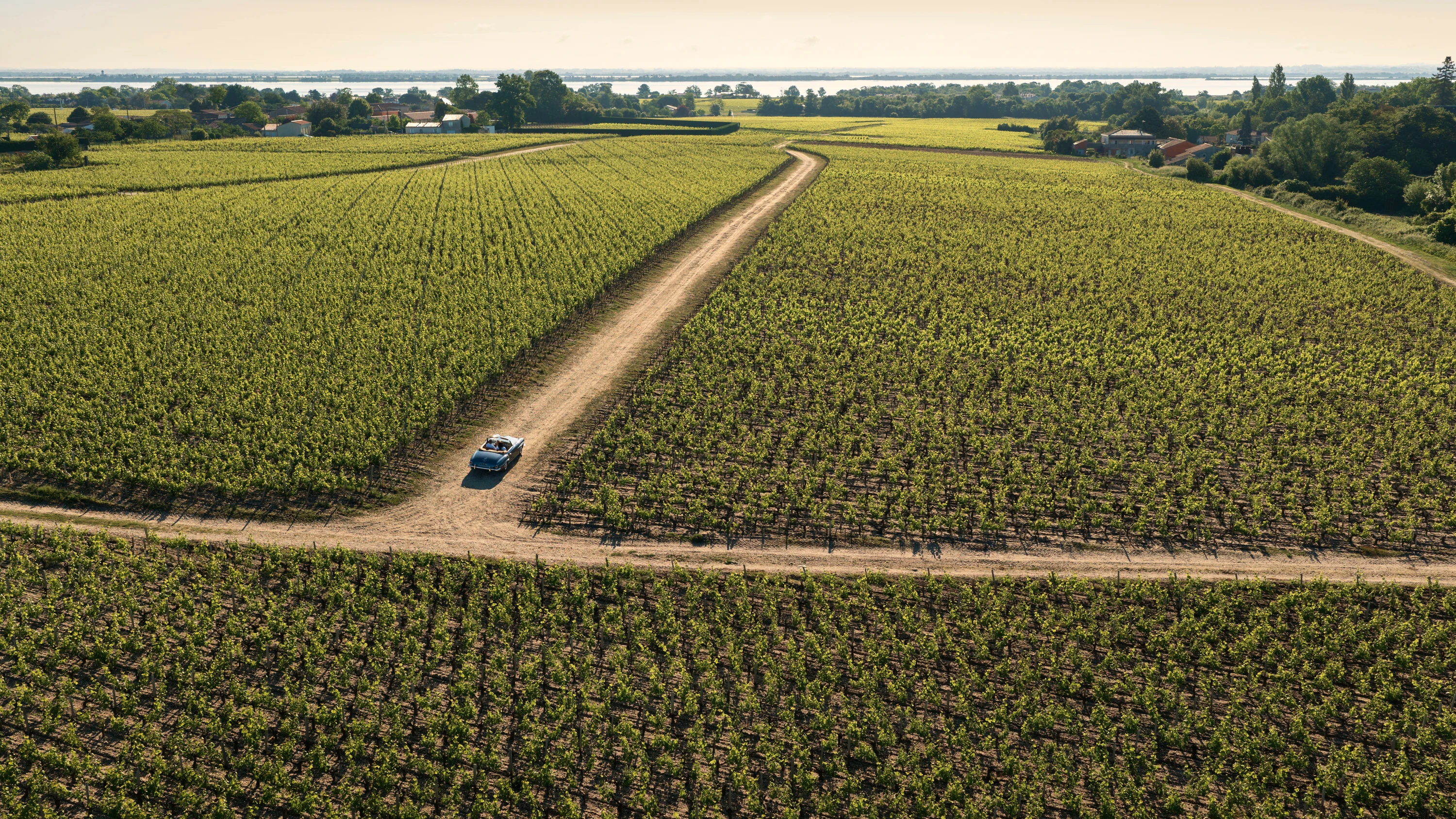 Menschenleere Landschaften voller Weinberge: Bages im Médoc - Como Hotels and Resorts
