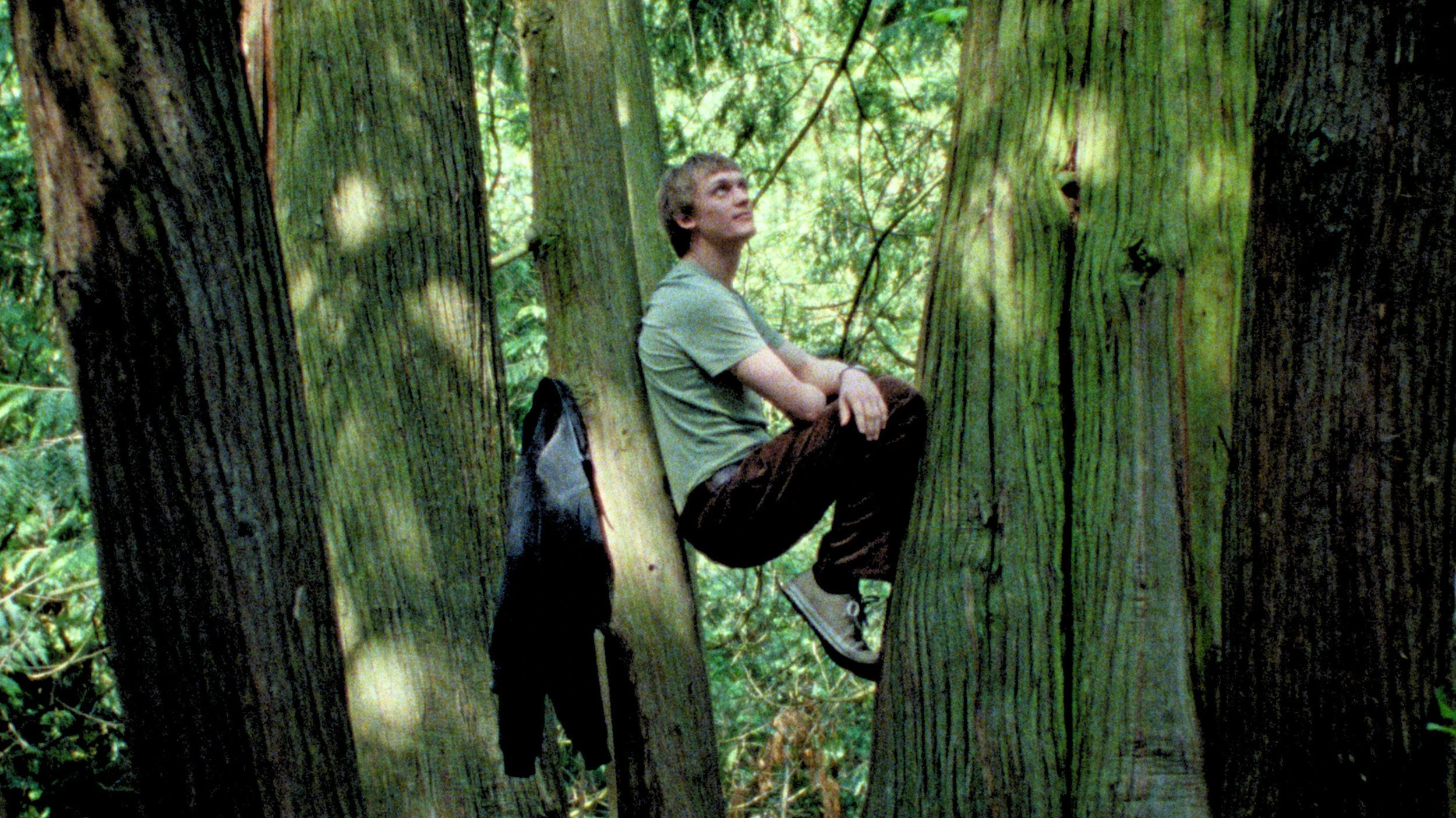 Interview zu „Silent Friend“: „Unsere menschliche Wahrnehmung ist nur eine von vielen“