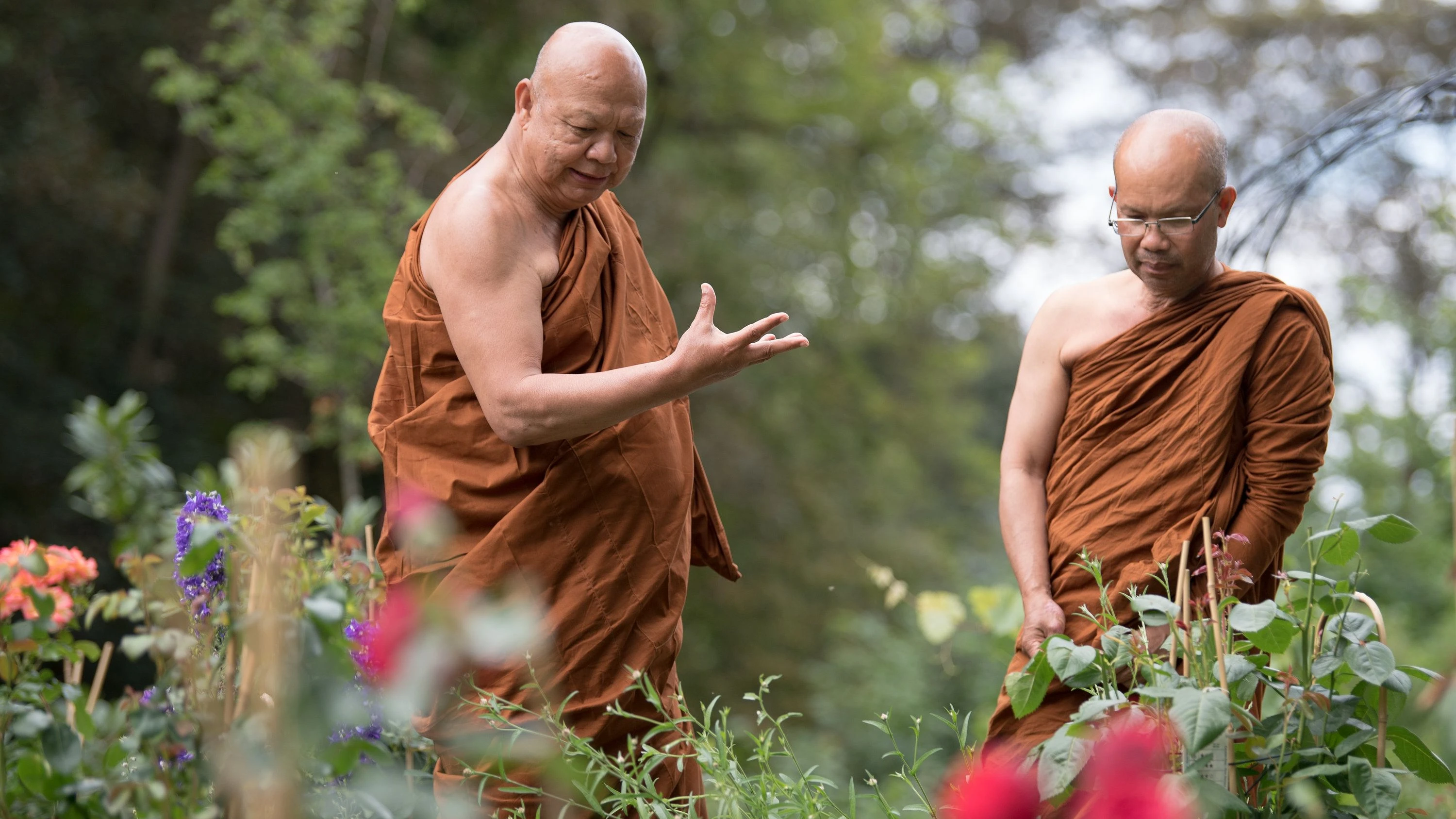 Religionstransfer: Was macht Buddha in Berlin?
