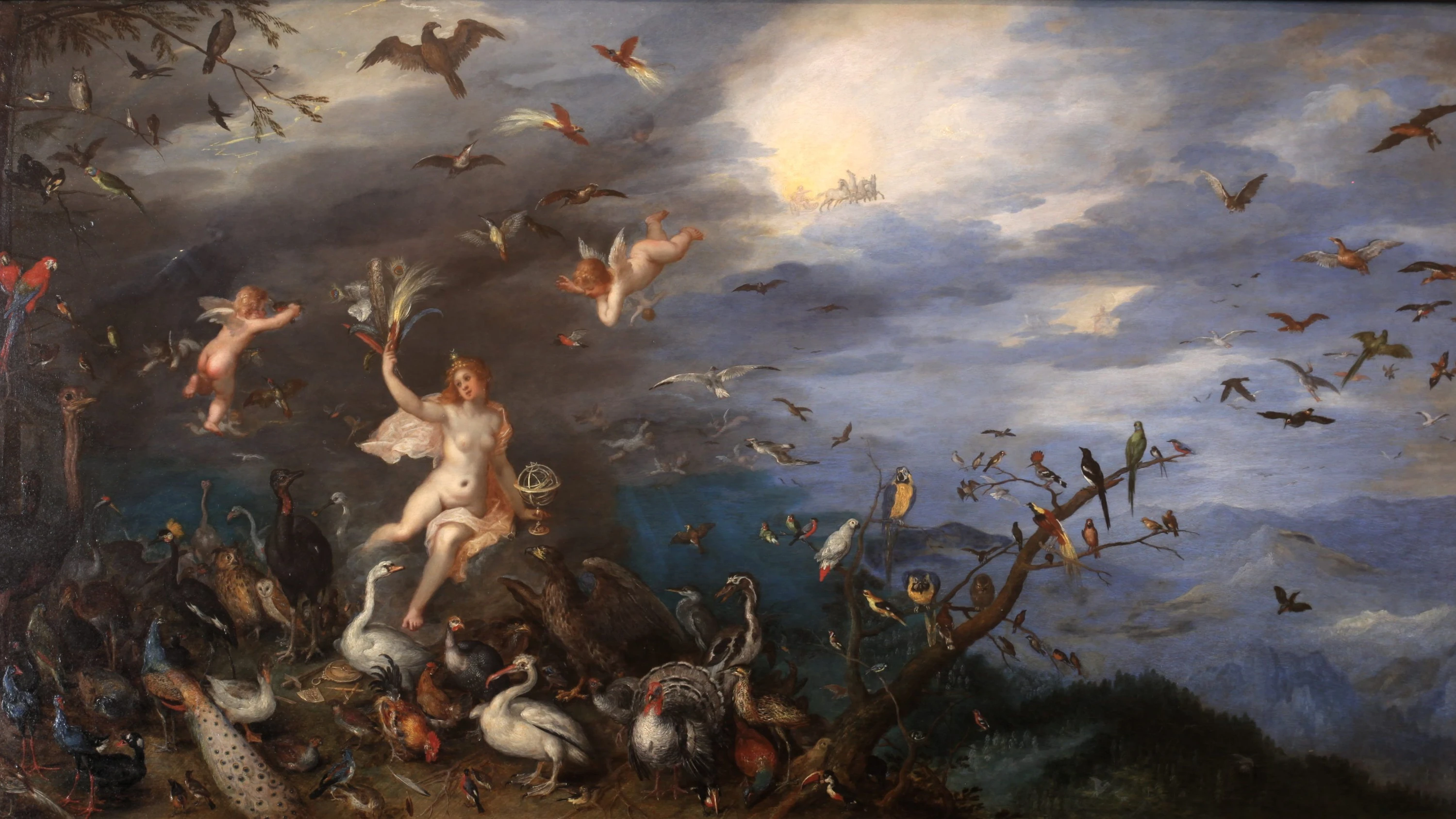Jan Brueghel der Ältere, Allegorie der Luft (1611): 60 Vogel- und drei Fledermausarten sind zu sehen. - Musée des beaux-arts de Lyon