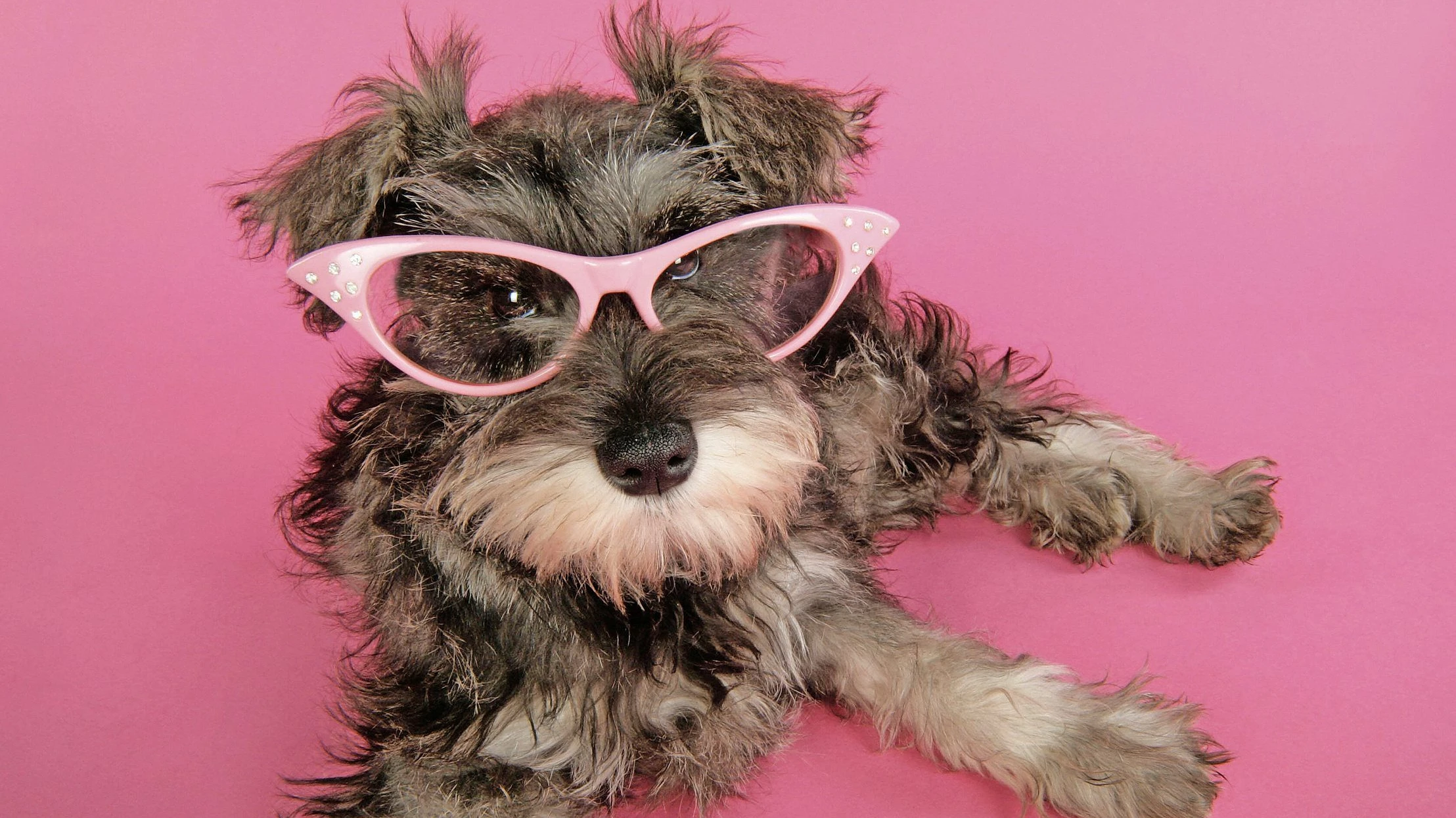 2026 als neues 2016?: Alles ist besser als das Jetzt 2026 als neues 2016?: Alles ist besser als das Jetzt