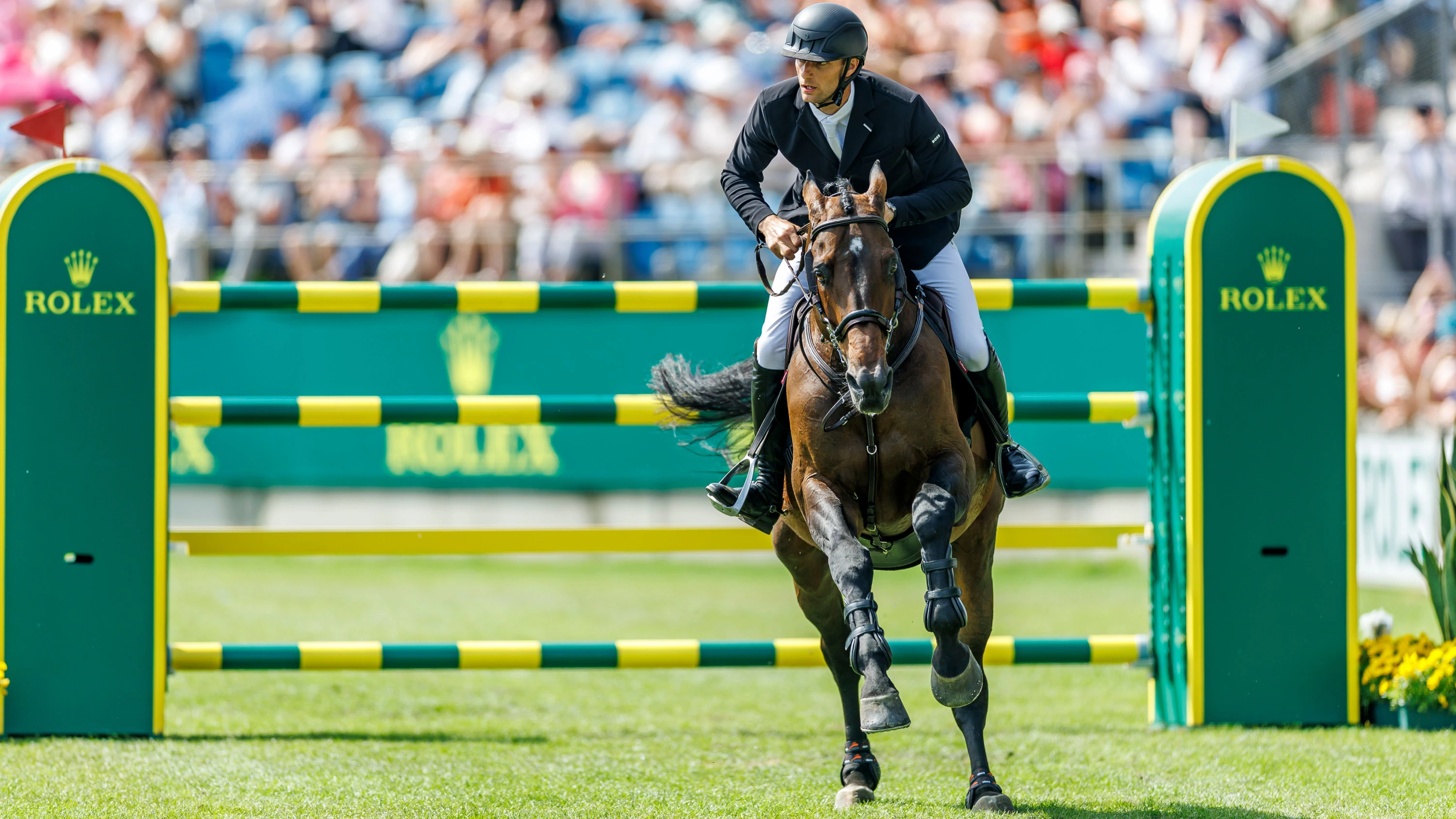 Übertünchte Probleme: Ruhm ohne Boom im deutschen Reitsport
