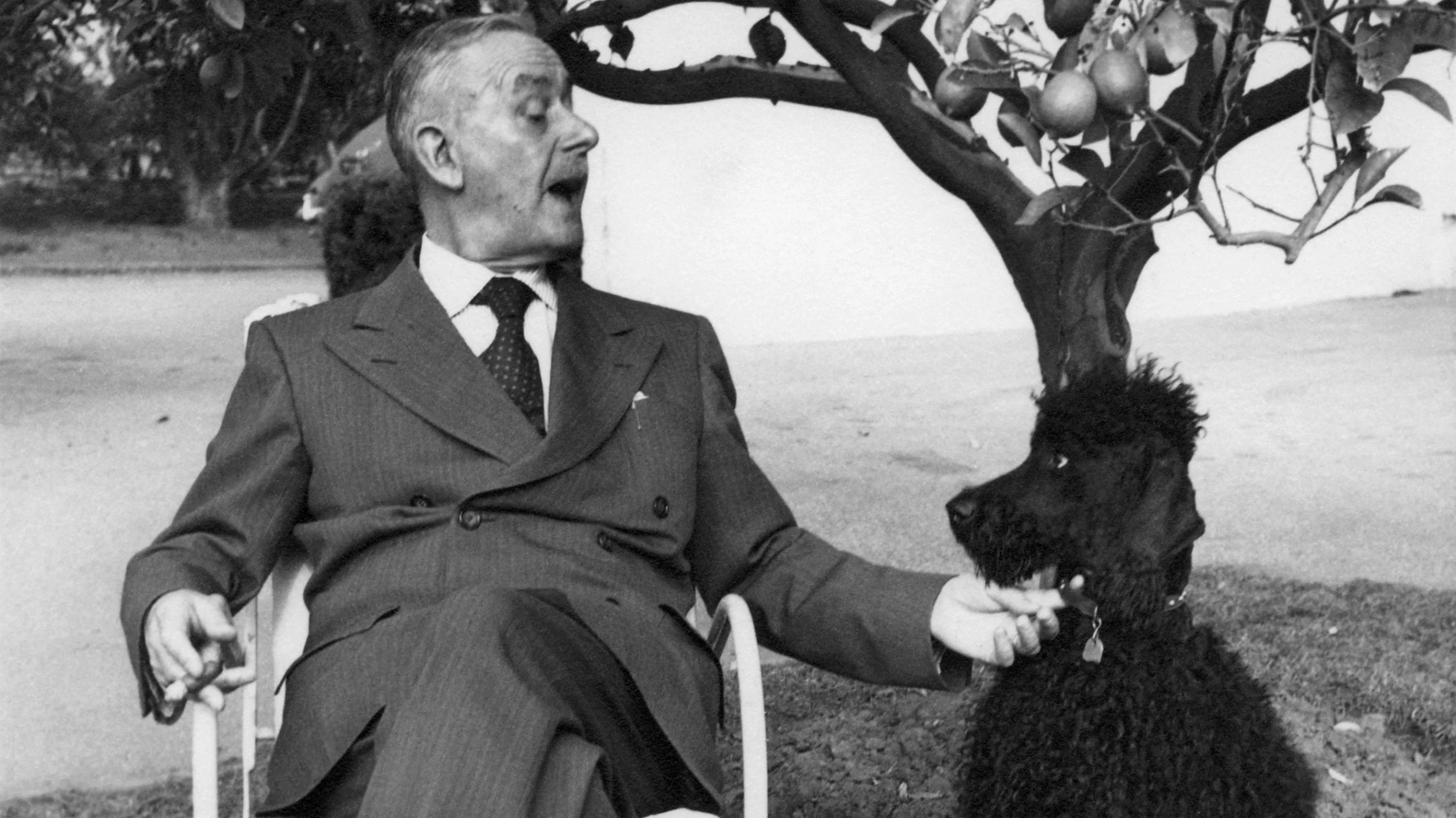 Thomas Mann und seine Hunde: Vorm Frühstück dem Pudel die Citrone geworfen Thomas Mann und seine Hunde: Vorm Frühstück dem Pudel die Citrone geworfen