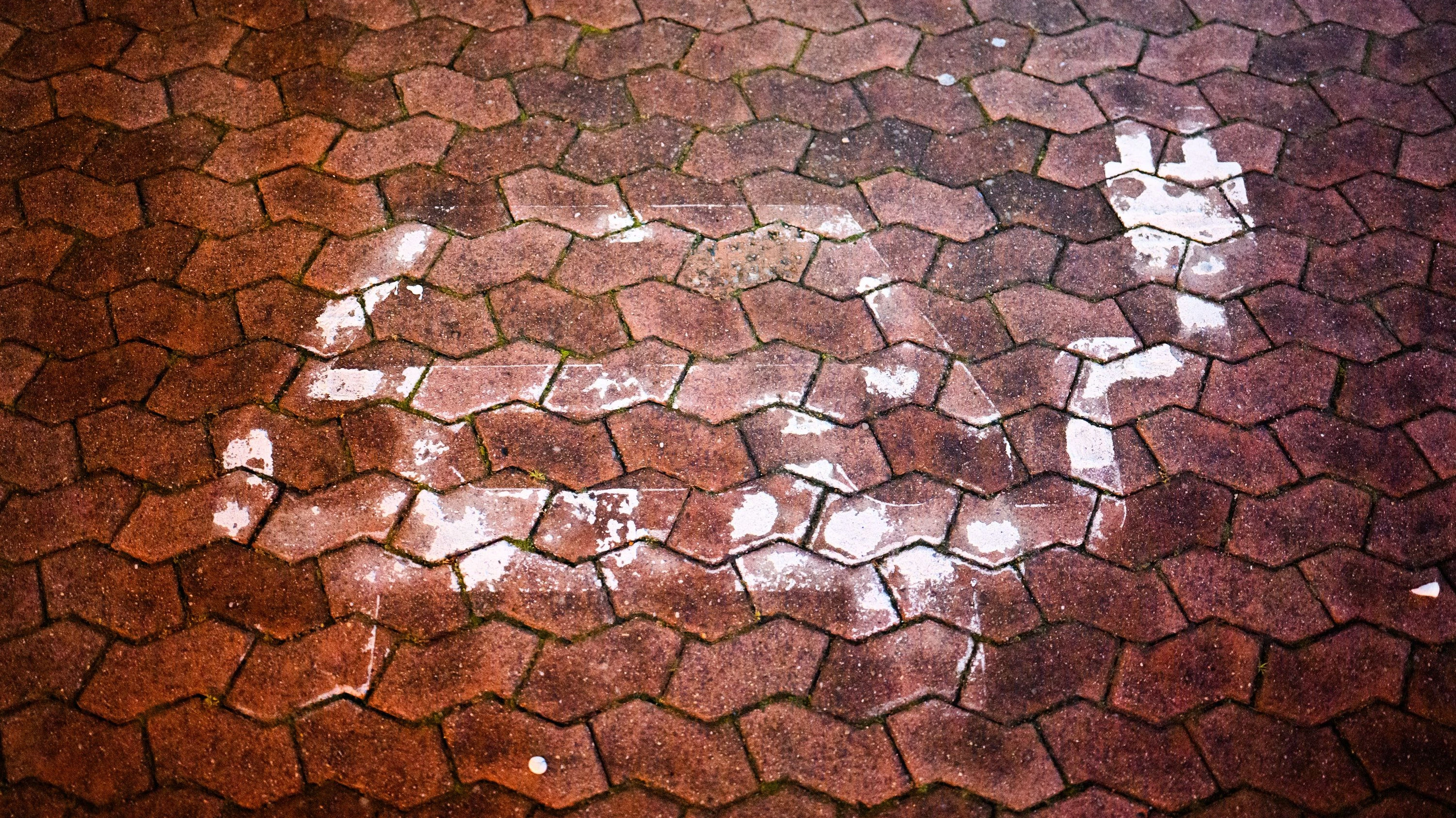 Sixt-Ko-Chef im Interview: „Quoten schaffen keine Ladesäulen“