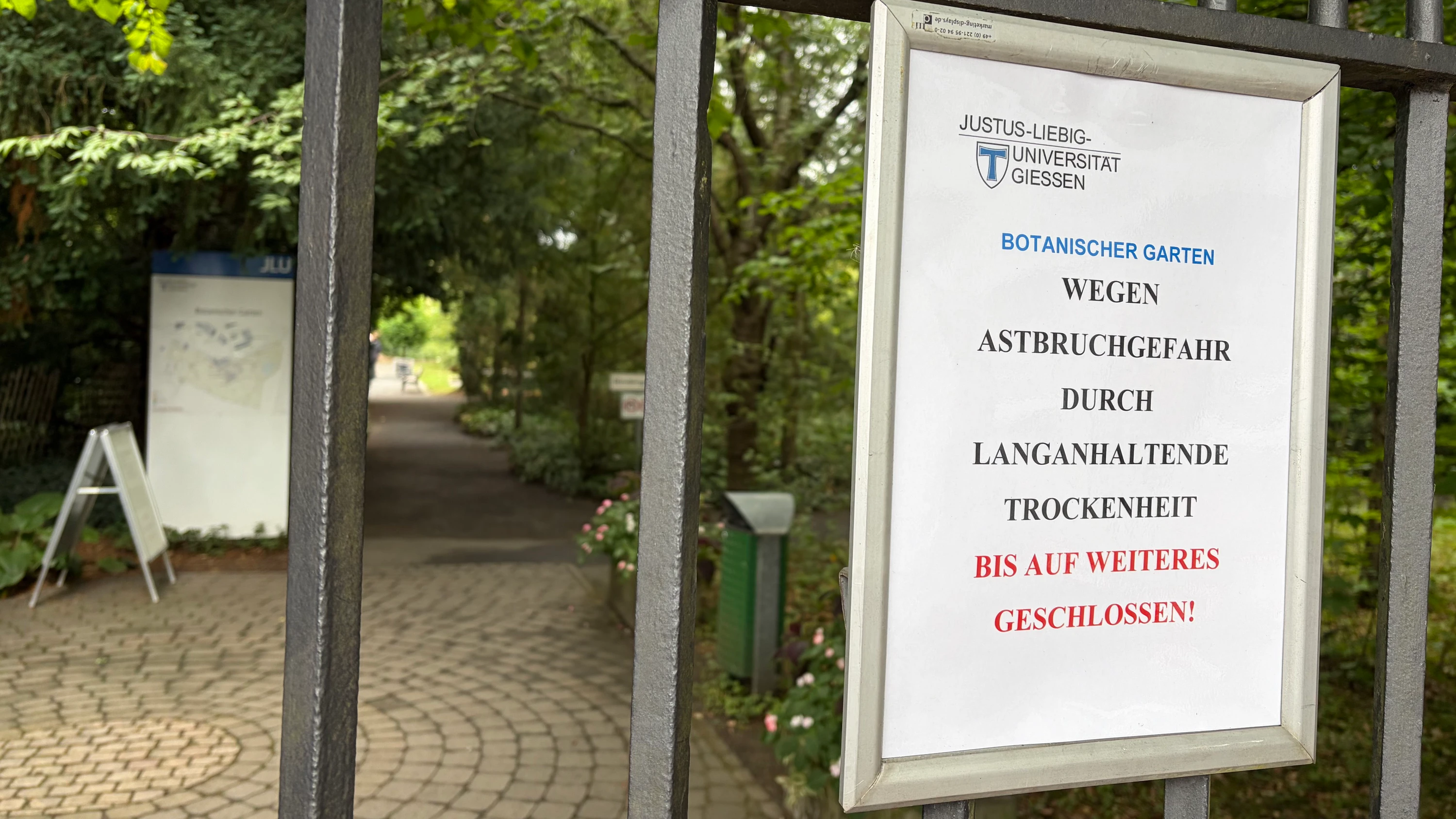 Gefahr in Giessen: Botanischer Garten wegen Grünastbrüchen gesperrt