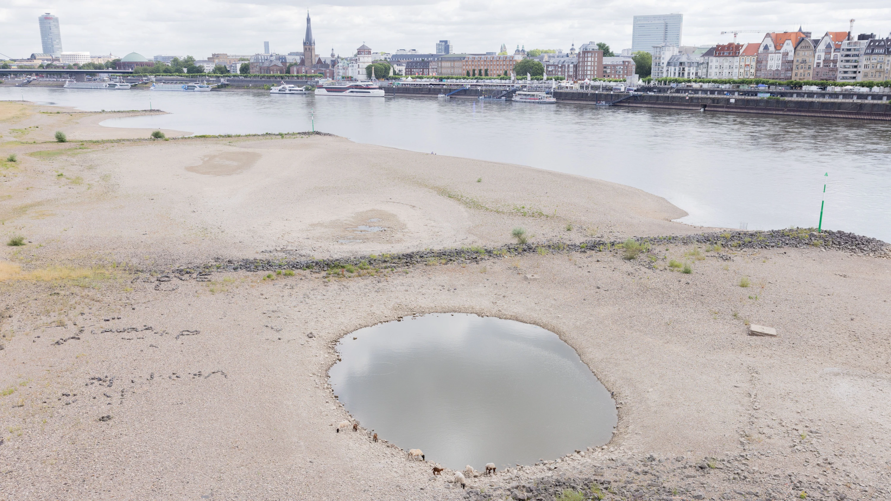 Mehr Land, weniger Wasser: Rheinufer in der Wirtschaftsmetropole und Landeshauptstadt Düsseldorf - dpa