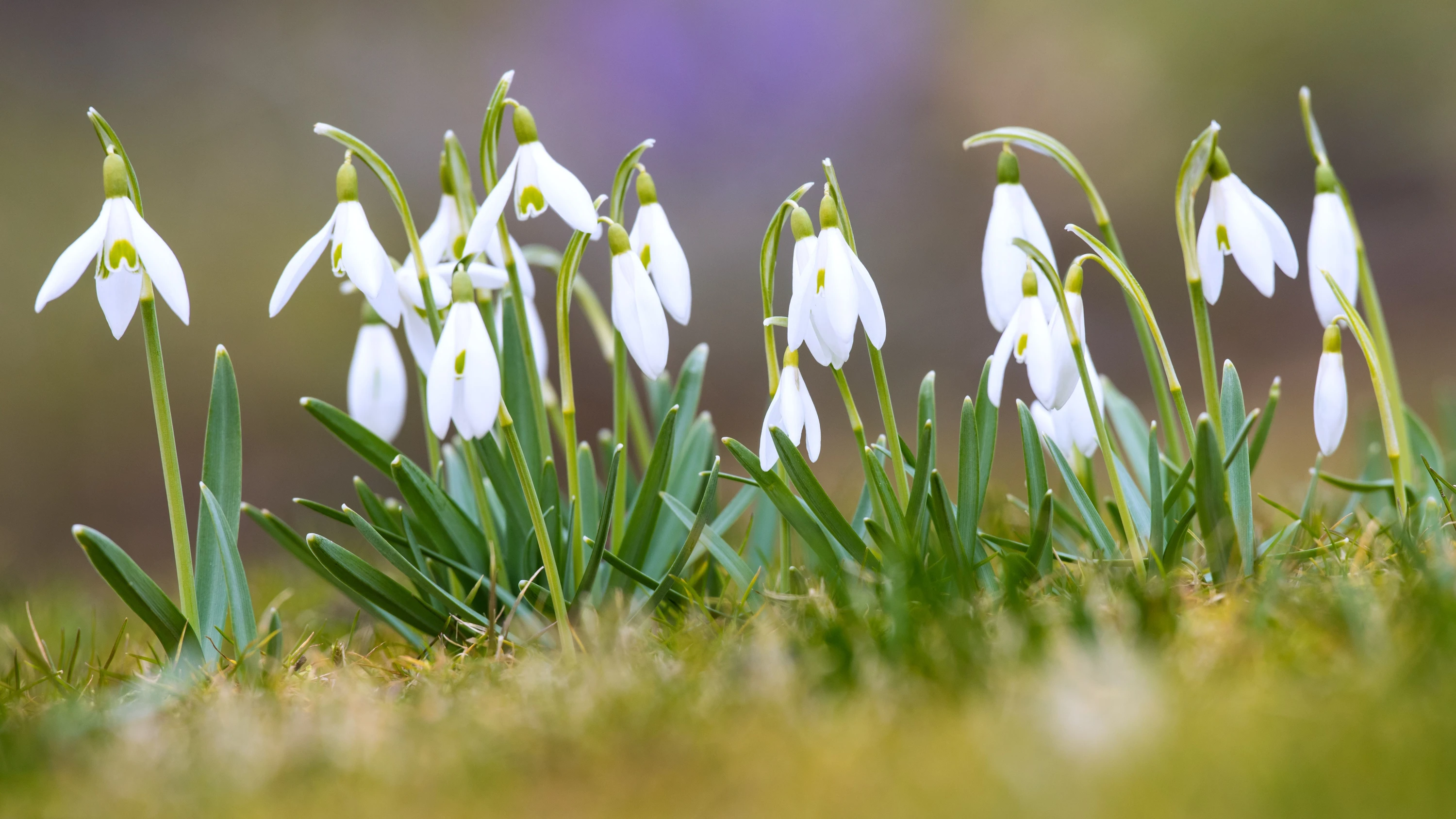 Schufa, Wahlen, Sommerzeit: Das ändert sich im März